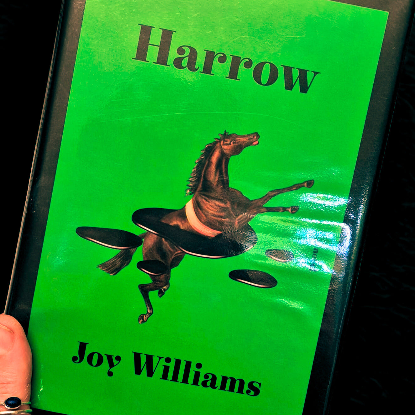'Harrow' by Joy Williams