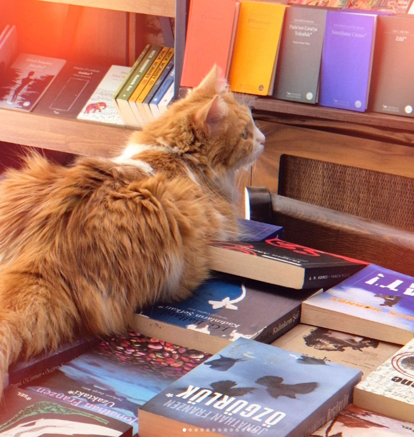 Fiction & Mostly Fiction