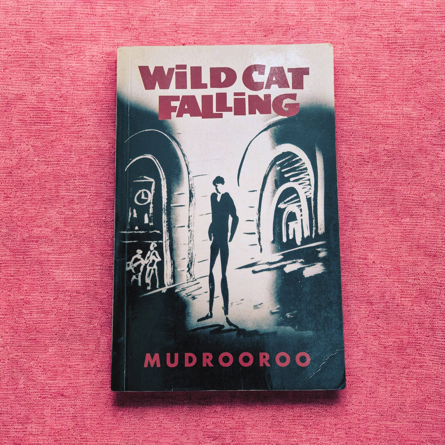 'Wild Cat Falling' by Mudrooroo