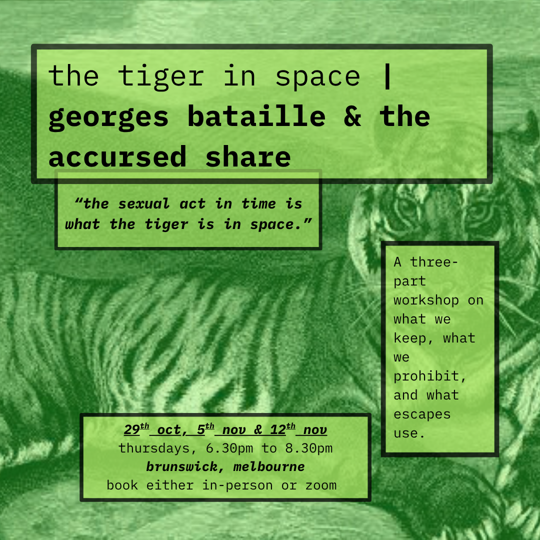 the tiger in space | georges bataille & the accursed share
