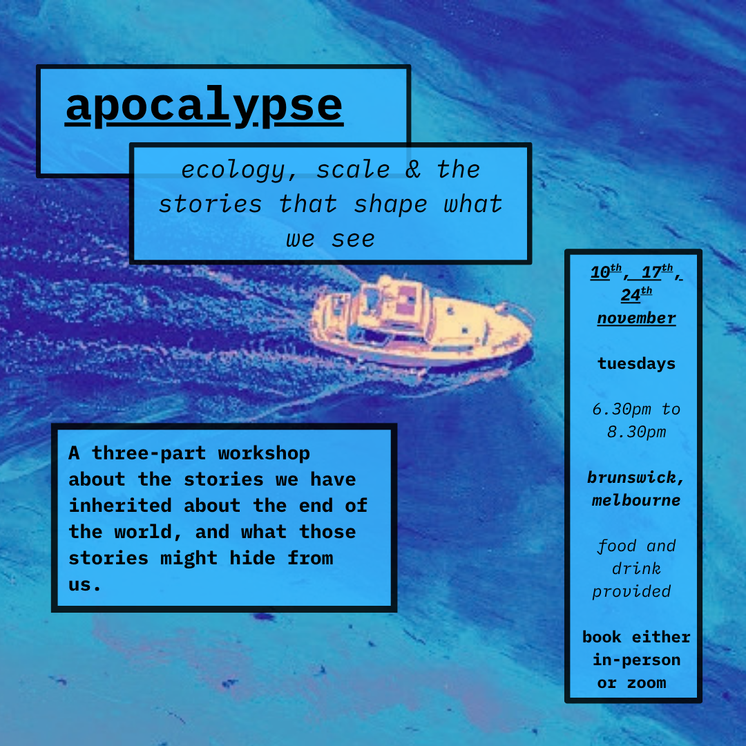 apocalypse | ‘love in the rubble’ | ecology, scale and the stories that shape what we see