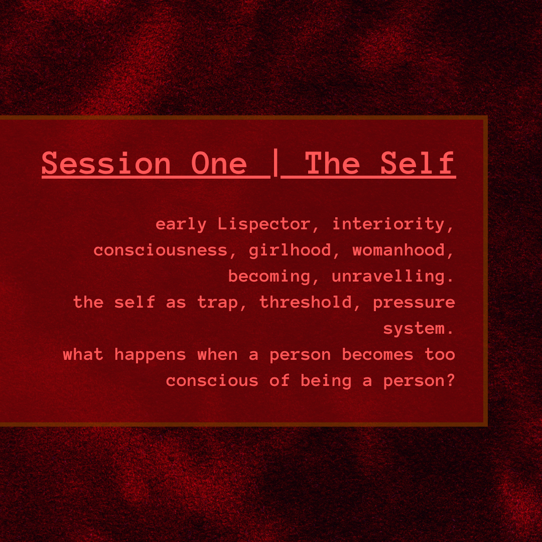 body of work #1 | Clarice Lispector: the self, the thing, the voice