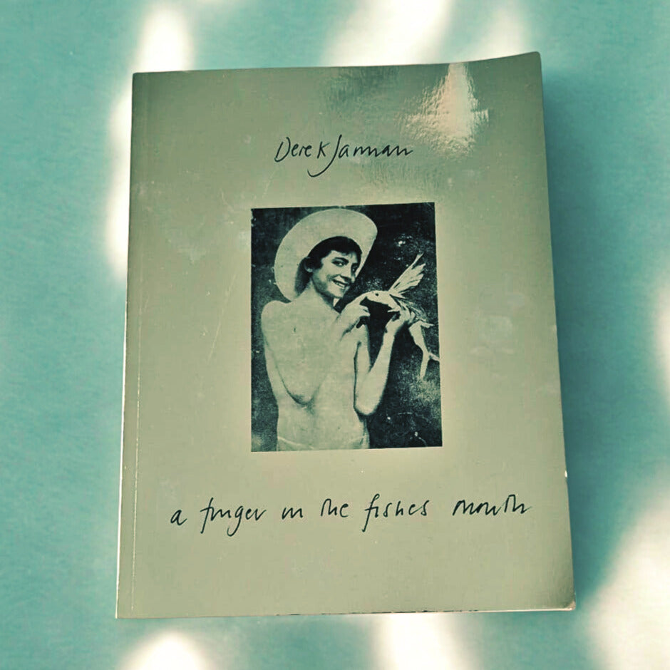 'a finger in the fishes mouth' by Derek Jarman