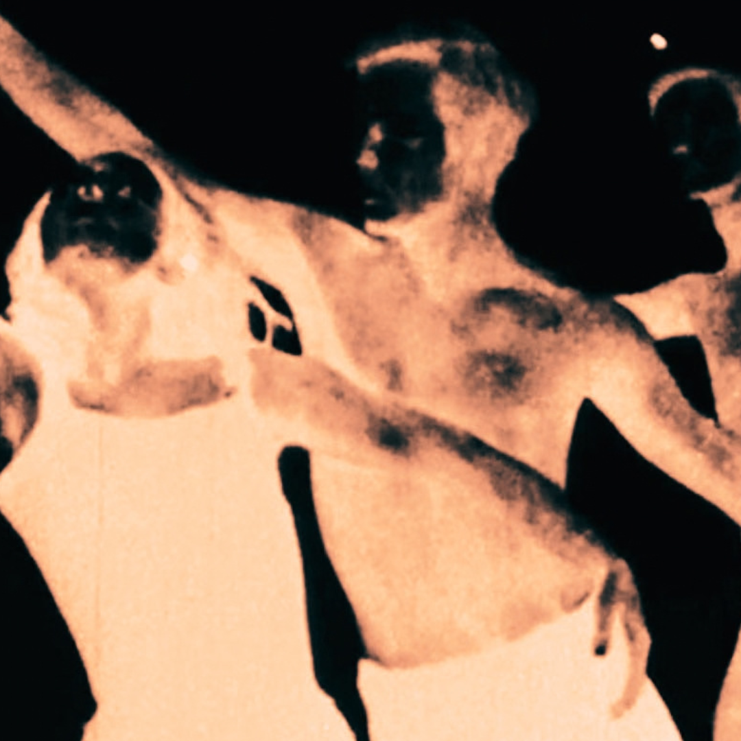 the tiger in space | georges bataille & the accursed share