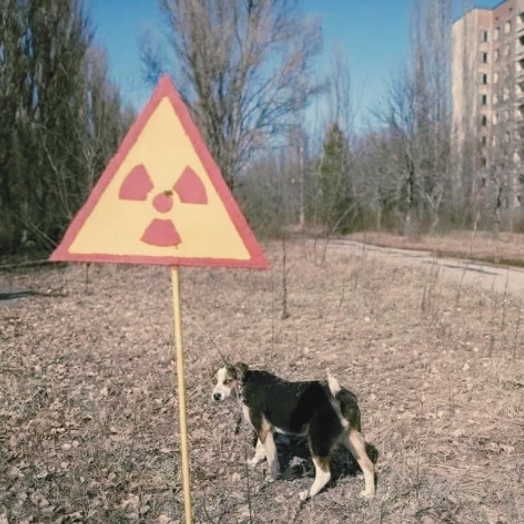 apocalypse | ‘love in the rubble’ | ecology, scale and the stories that shape what we see