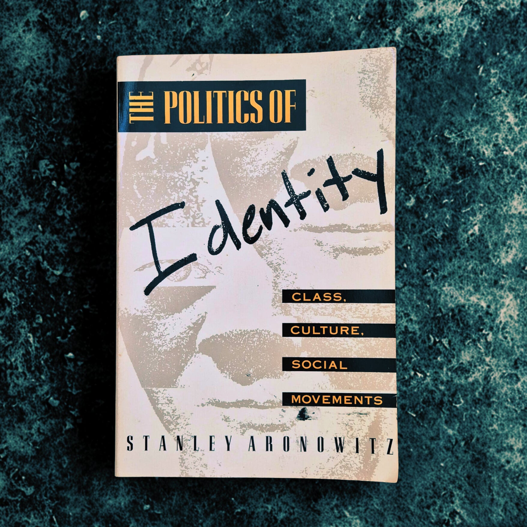 'The Politics of Identity. Class, Culture and Social Movements' by Stanley Aronowitz