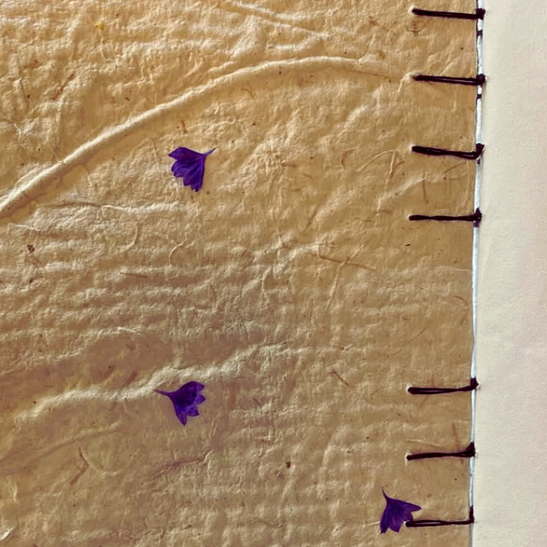 how to make paper: learn traditions using found materials