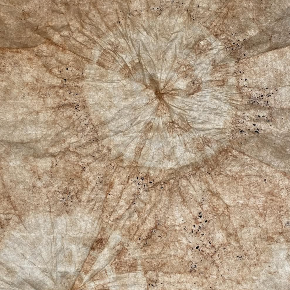 how to make paper: learn traditions using found materials