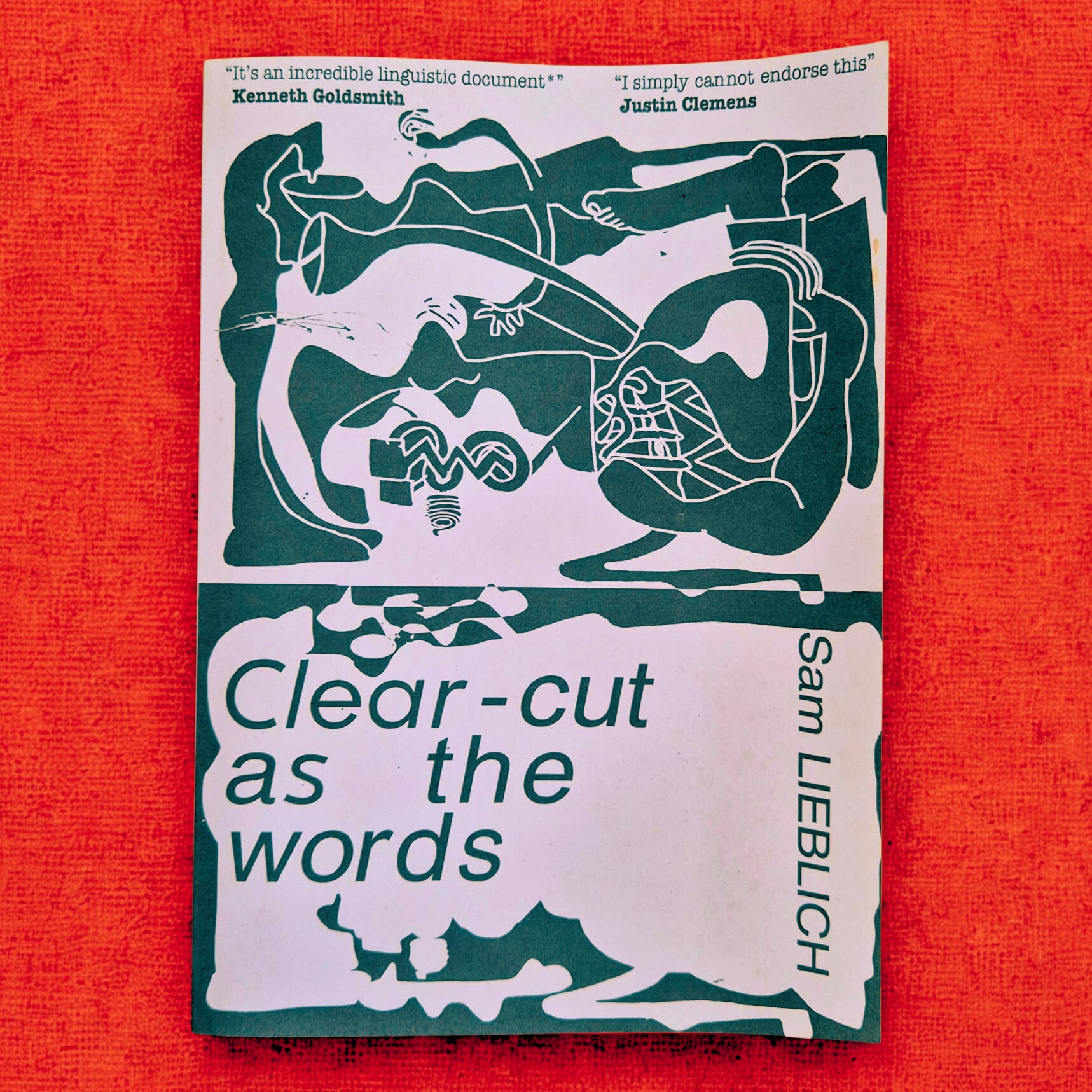 'Clear-cut as the Words' by Sam Lieblich