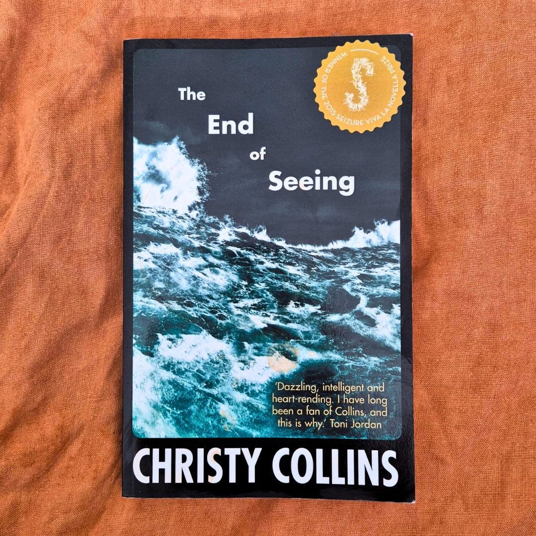 ‘The End of Seeing’ by Christy Collins