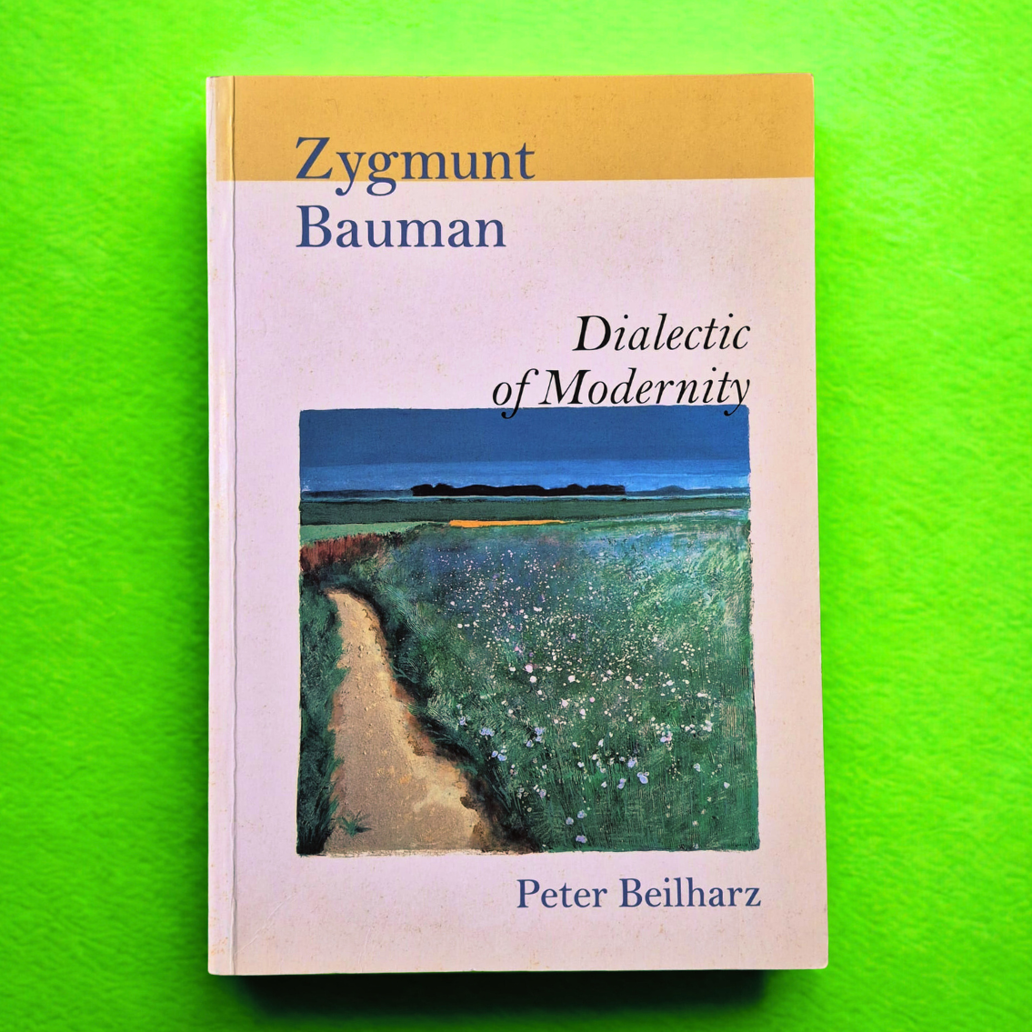 'Zygmunt Bauman: Dialectic of Modernity' by Peter Beilharz