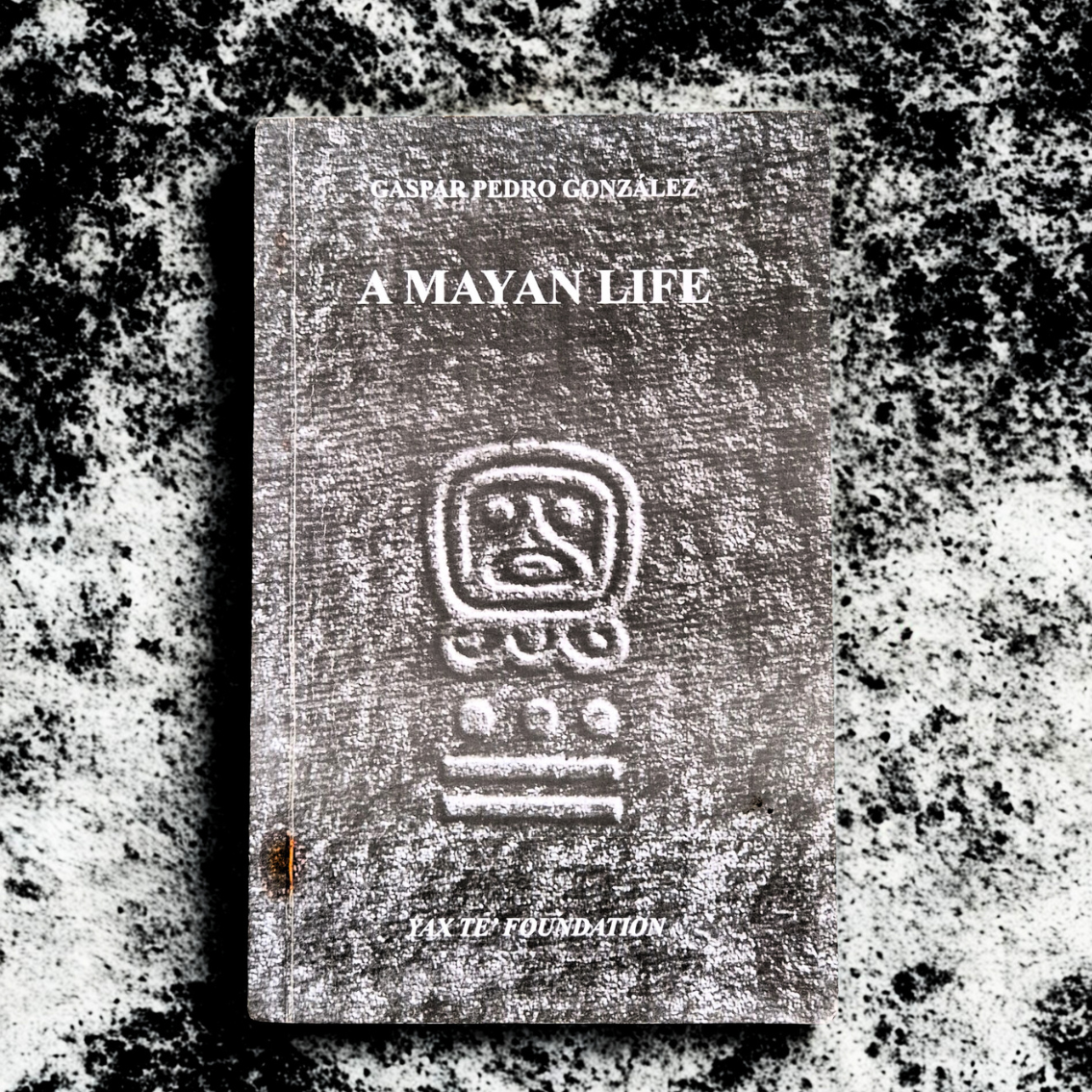 'A Mayan Life' by Gaspar Pedro González
