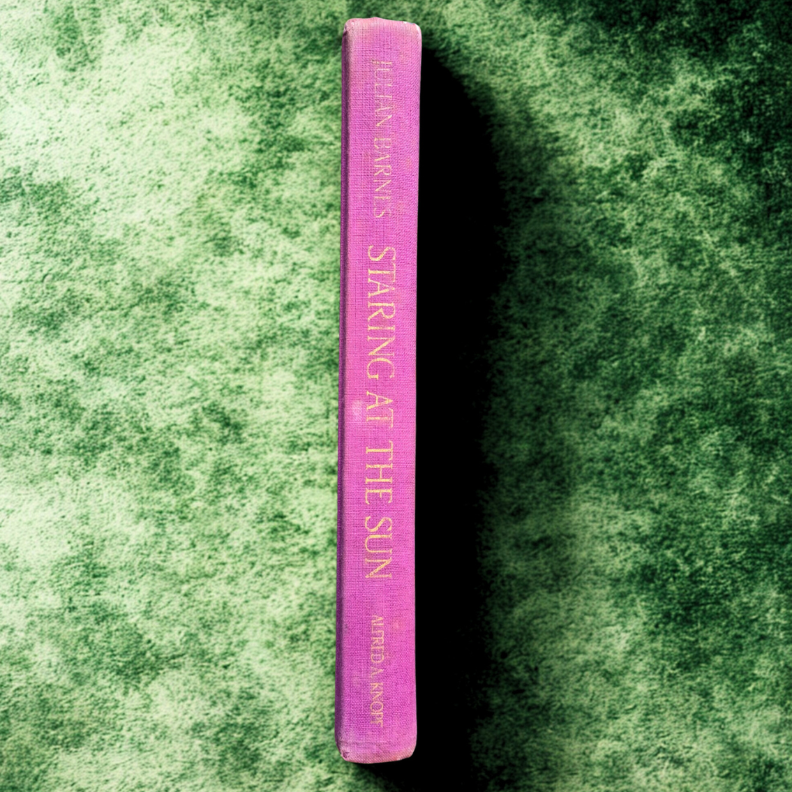 'Staring at the Sun' by Julian Barnes