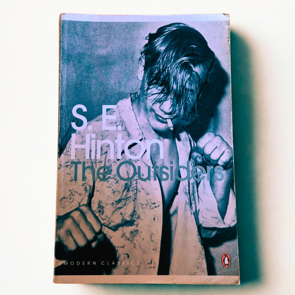'The Outsiders' by S.E. Hinton