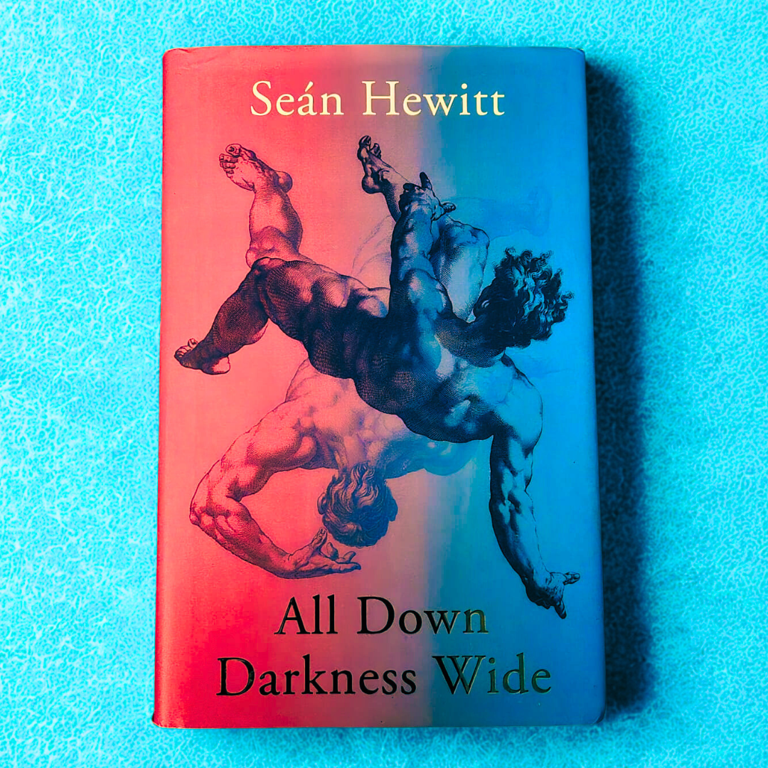 'All Down Darkness Wide' by Seán Hewitt
