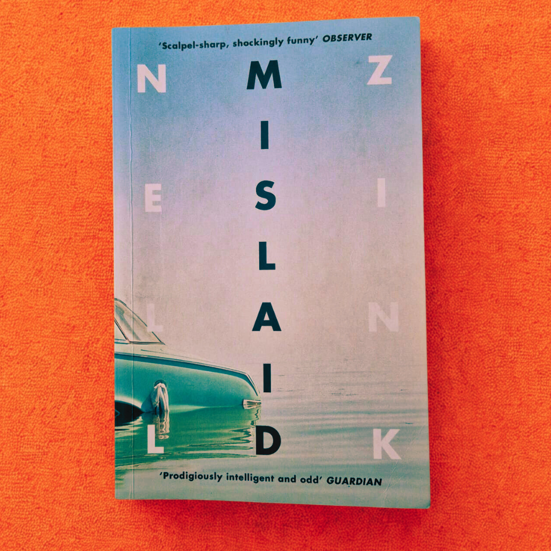'Mislaid' by Nell Zink