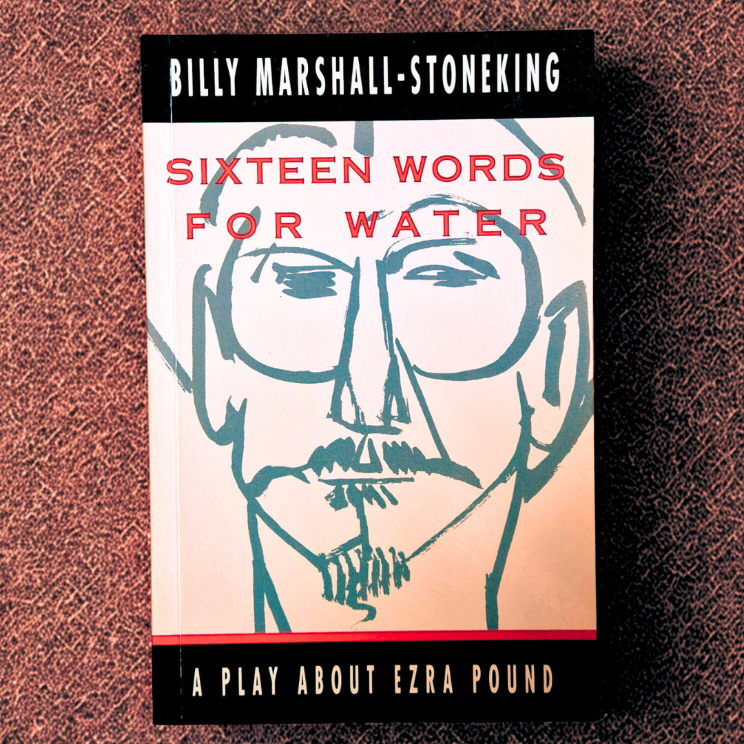 'Sixteen Words for Water' by Billy Marshall-Stoneking