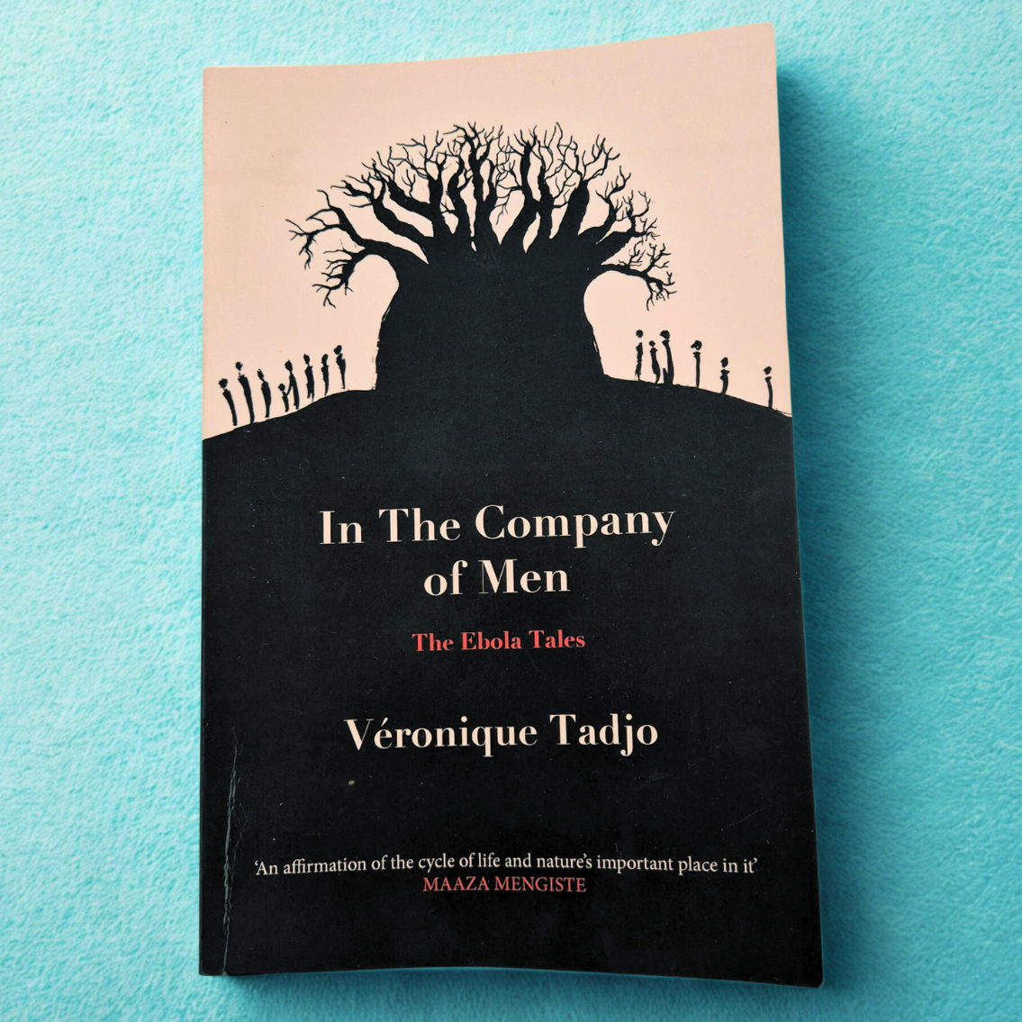 'In The Company of Men: The Ebola Tales' by Véronique Tadjo