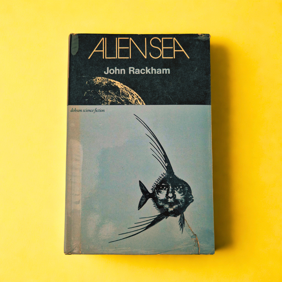 'Alien Sea' by John Rackham