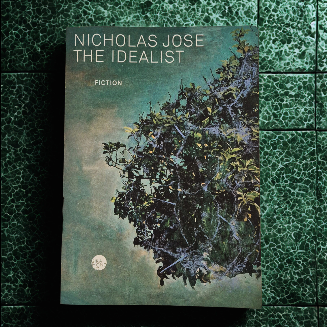 'The Idealist' by Nicholas Jose