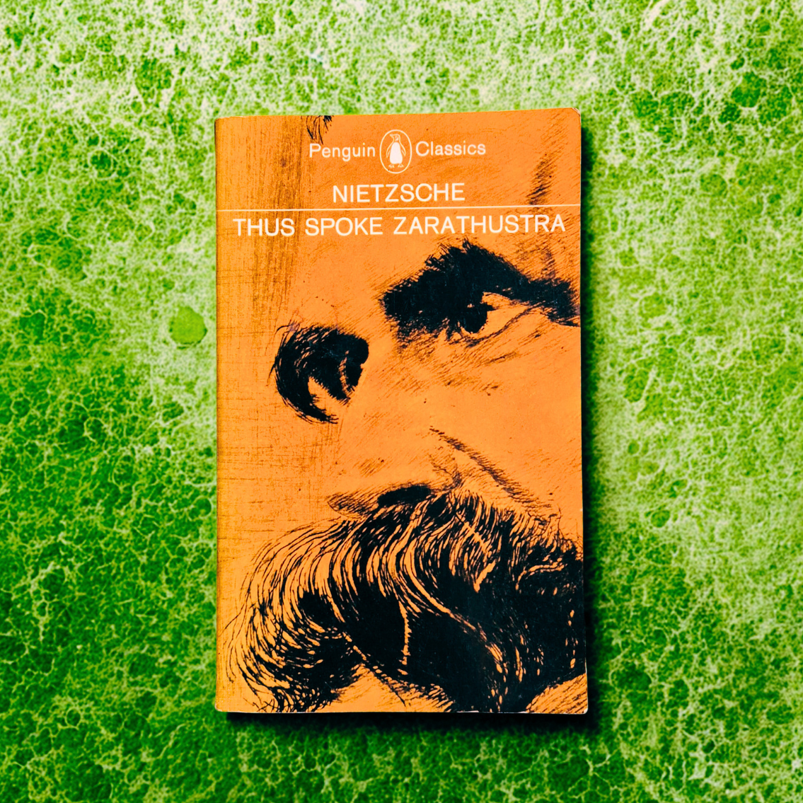'Thus Spoke Zarathustra' by Friedrich Nietzsche
