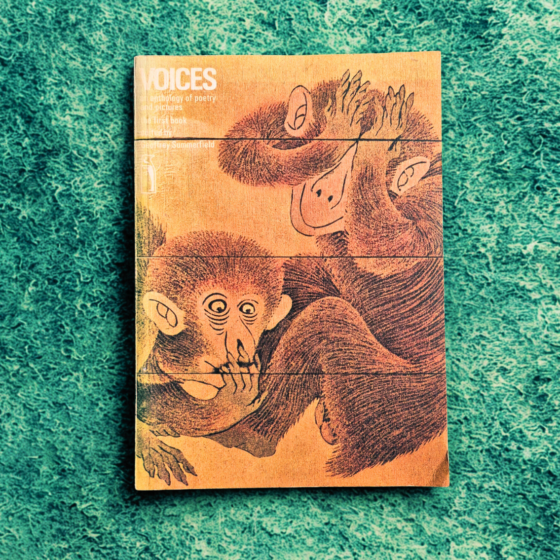 'Voices: An Anthology of Poetry and Pictures' compiled by Geoffrey Summerfield