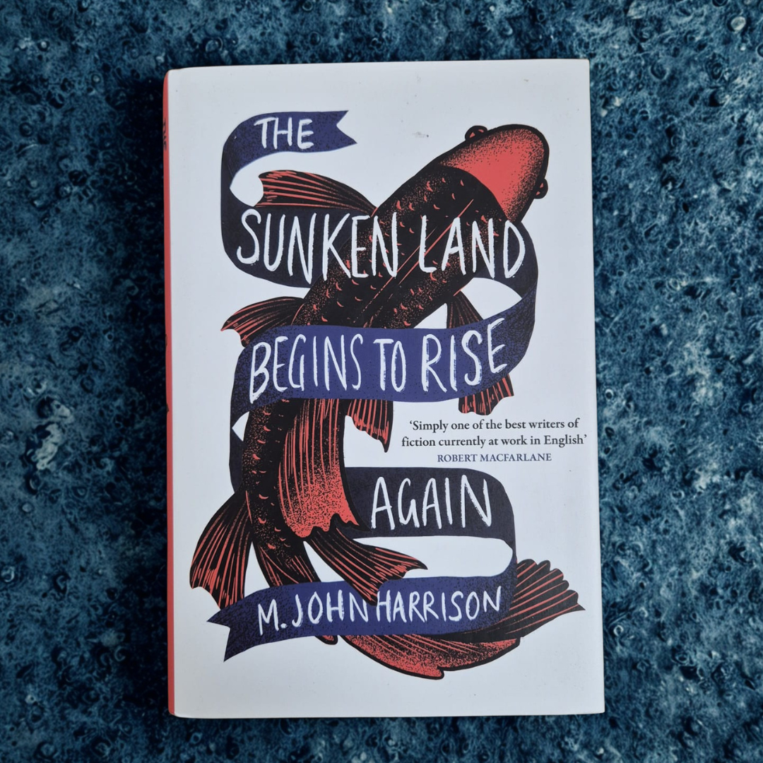 'The Sunken Land Begins to Rise Again' by M. John Harrison