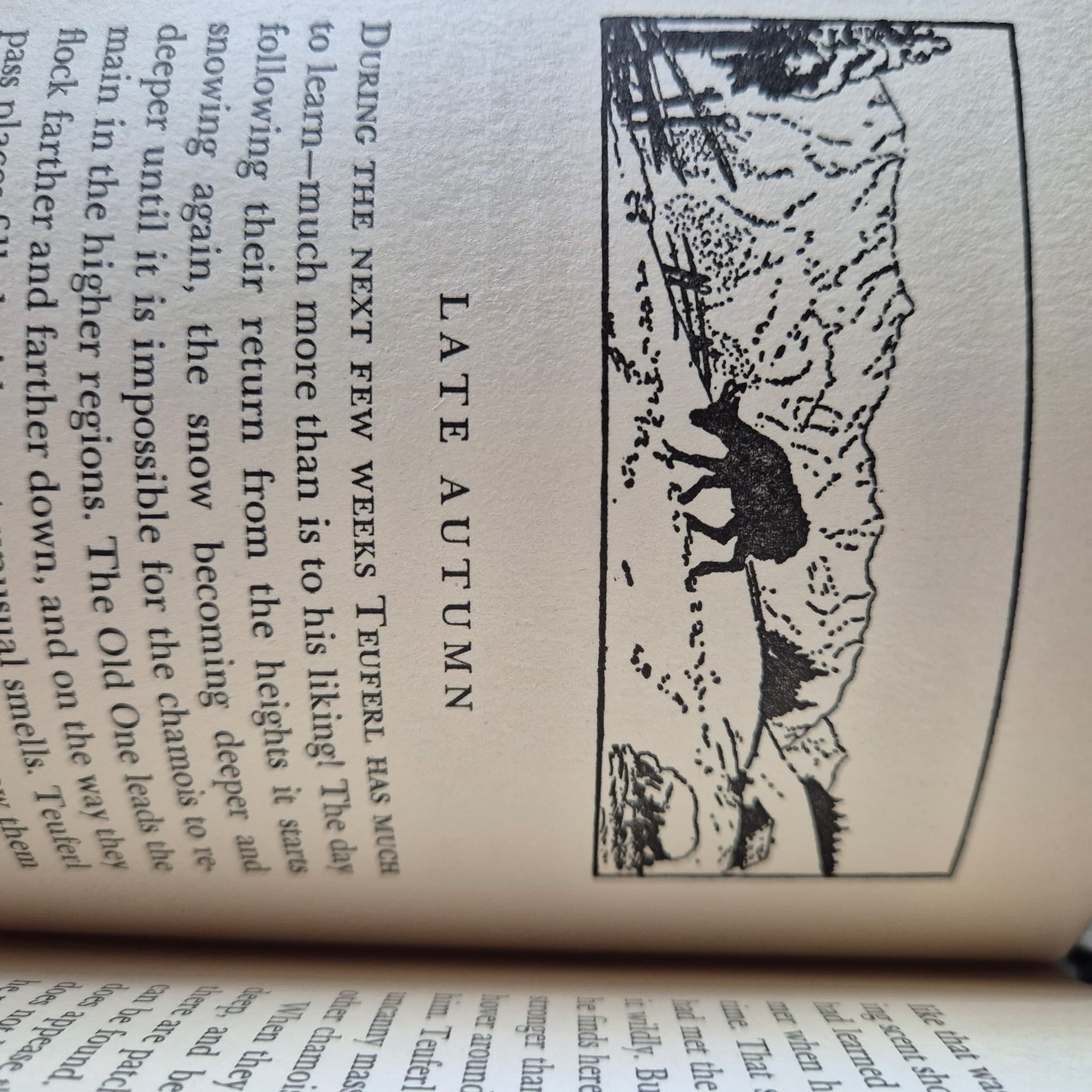 'Devil: The Life Story of a Chamois in the Austrian Alps' by Waldemar Schmidtmann