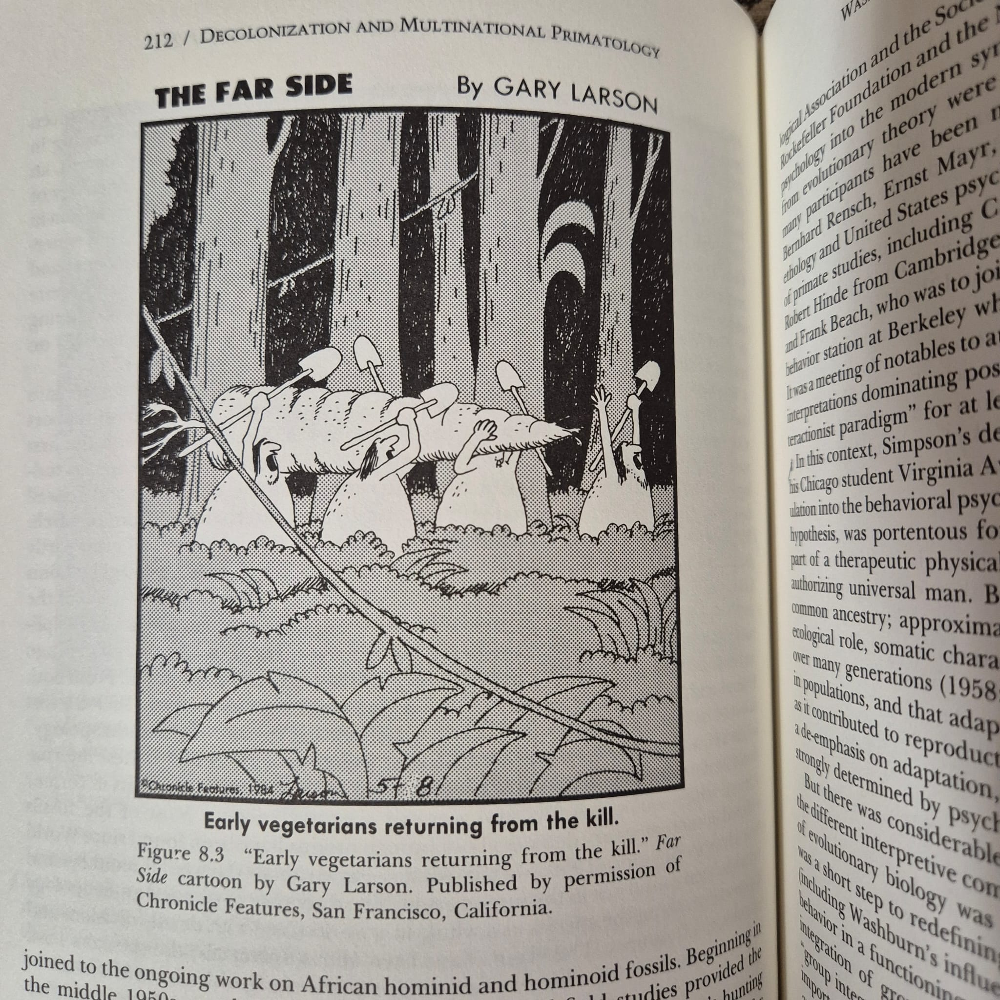 'Primate Visions' by Donna Haraway