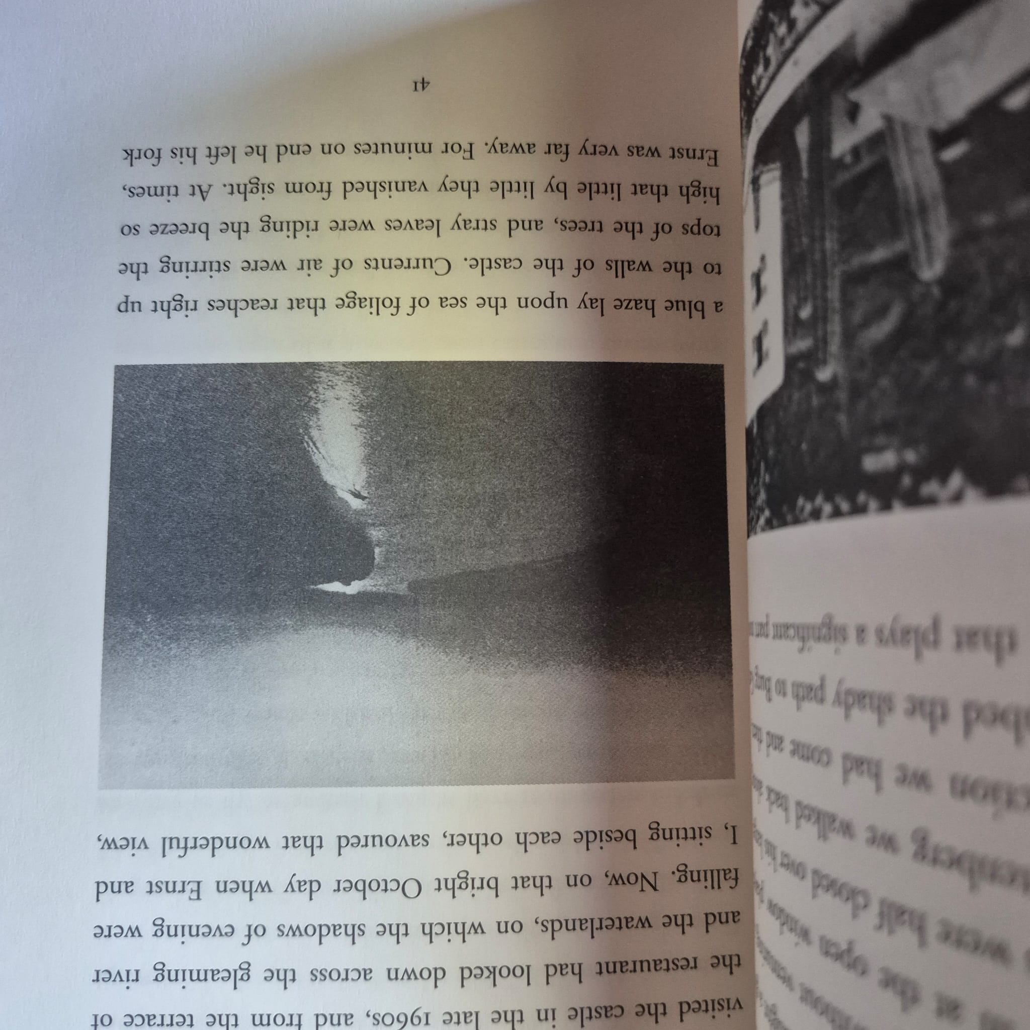 'Vertigo' by W. G. Sebald