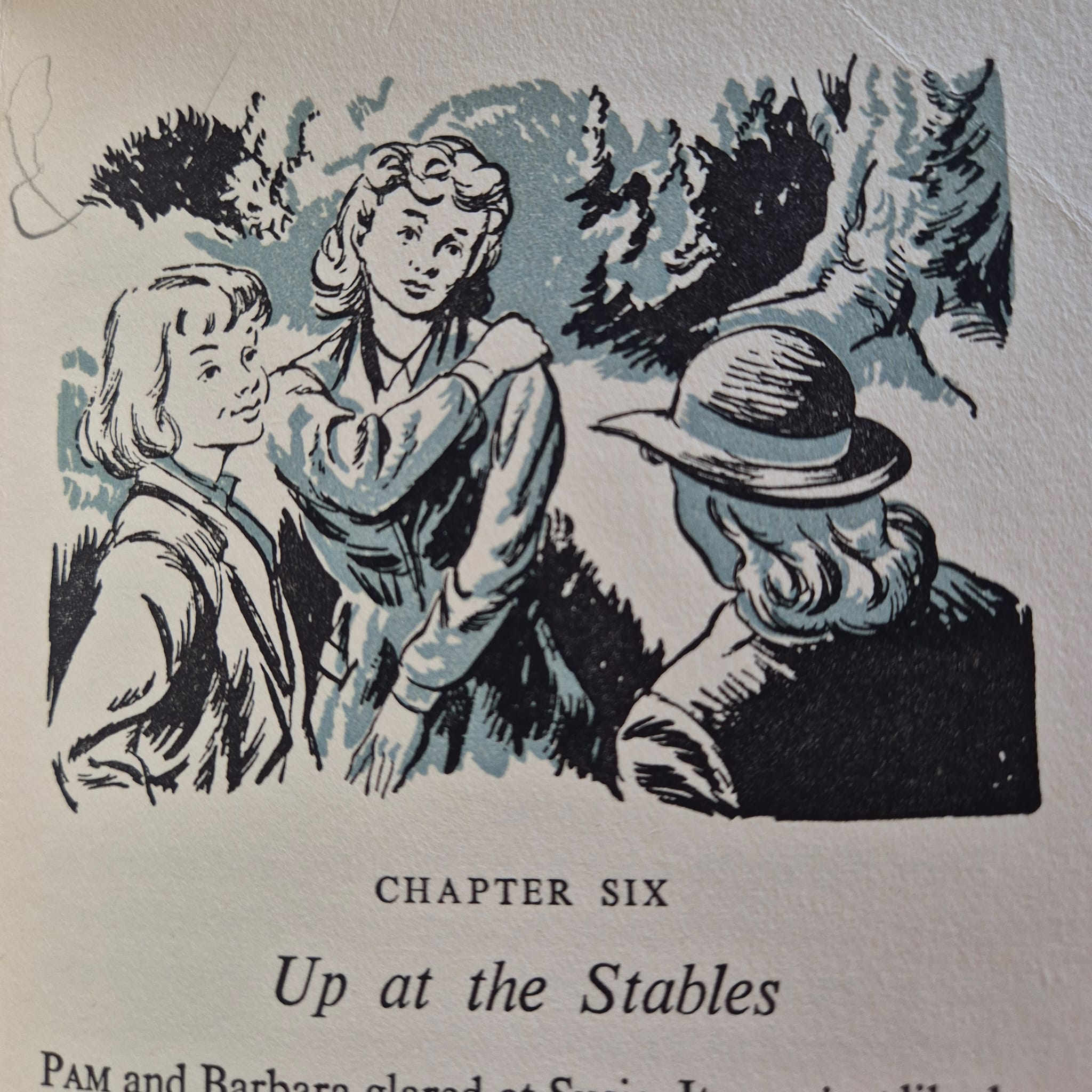 'Secret Seven Mystery' by Enid Blyton