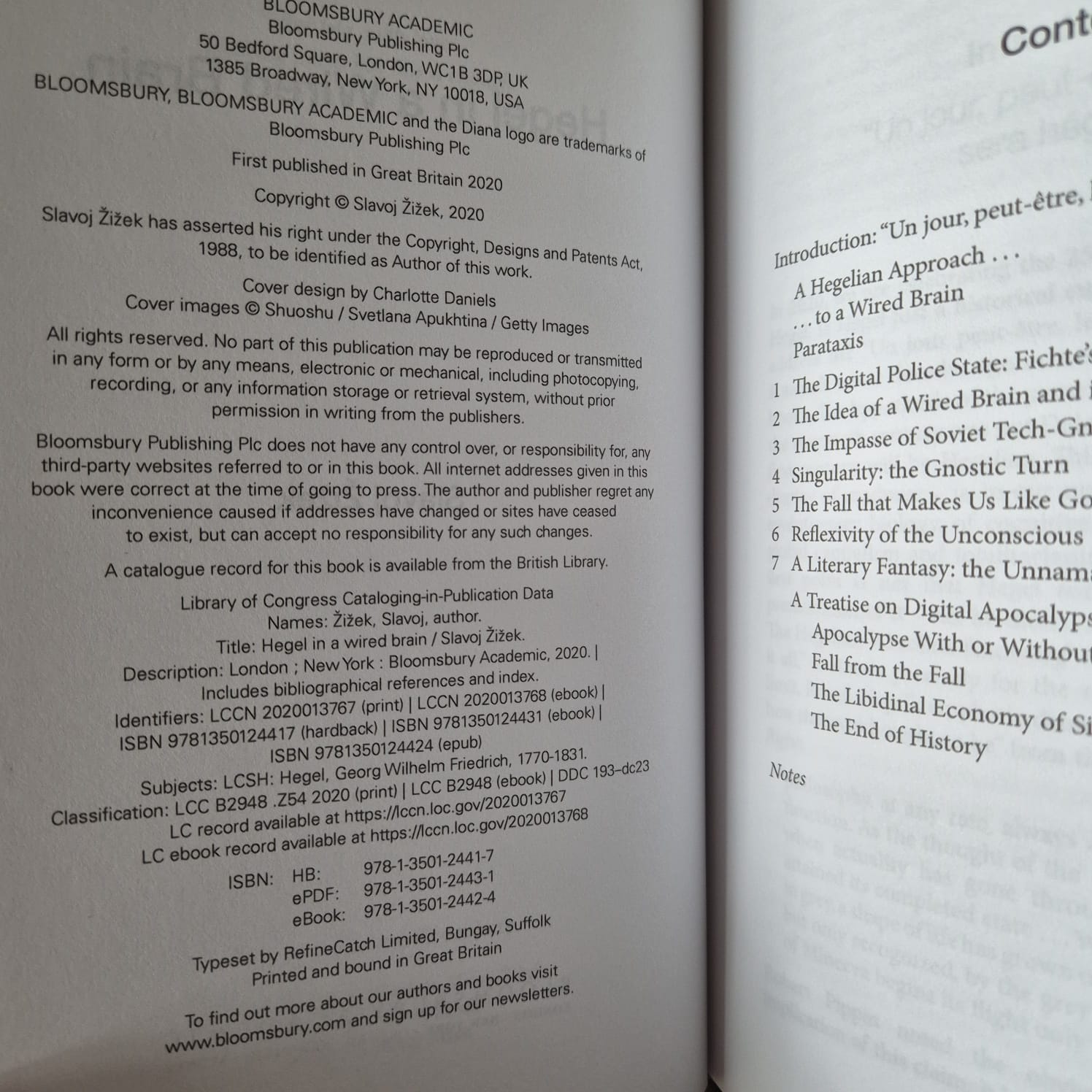 'Hegel in a Wired Brain' by Slavoj Žižek