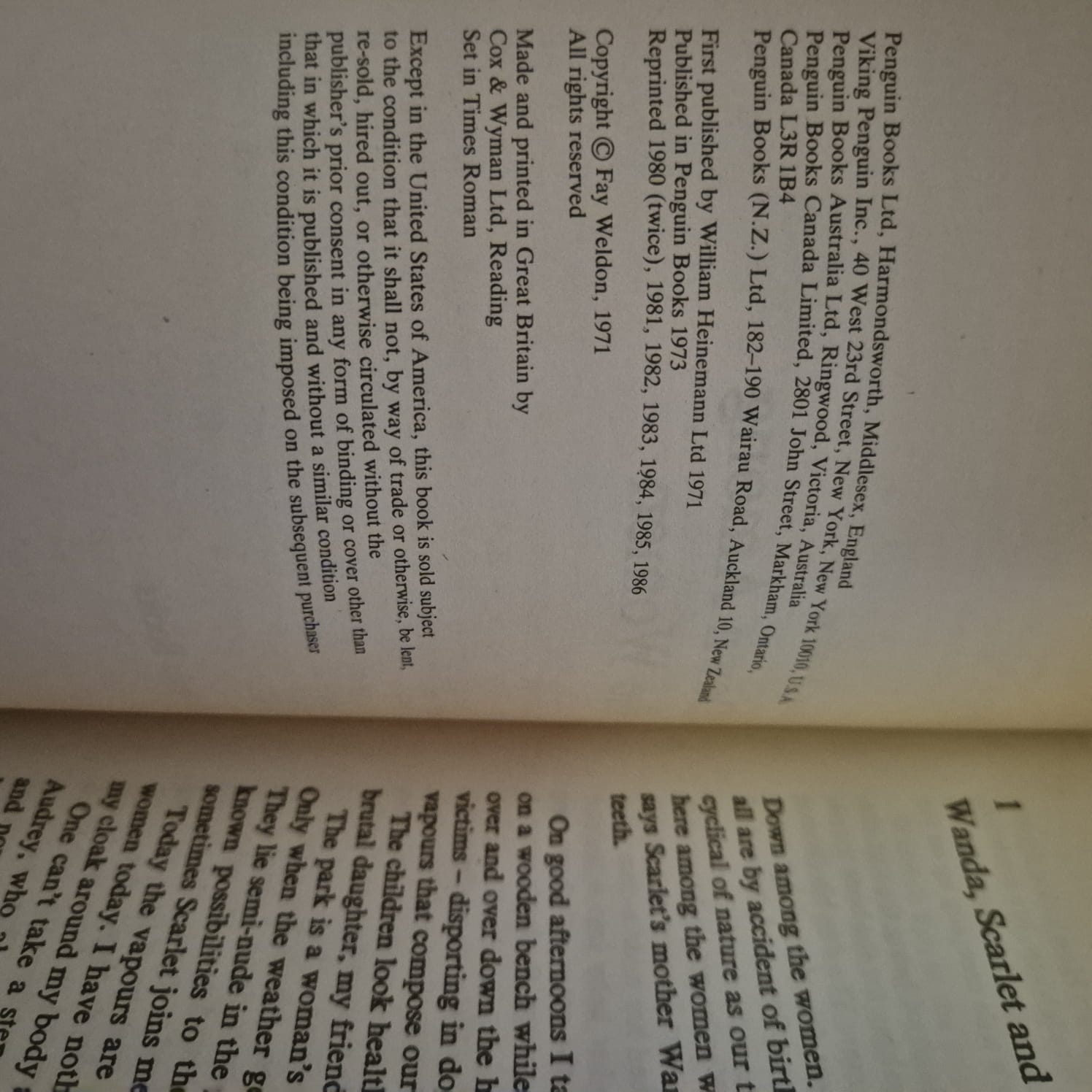 'Down Among the Women' by Fay Weldon