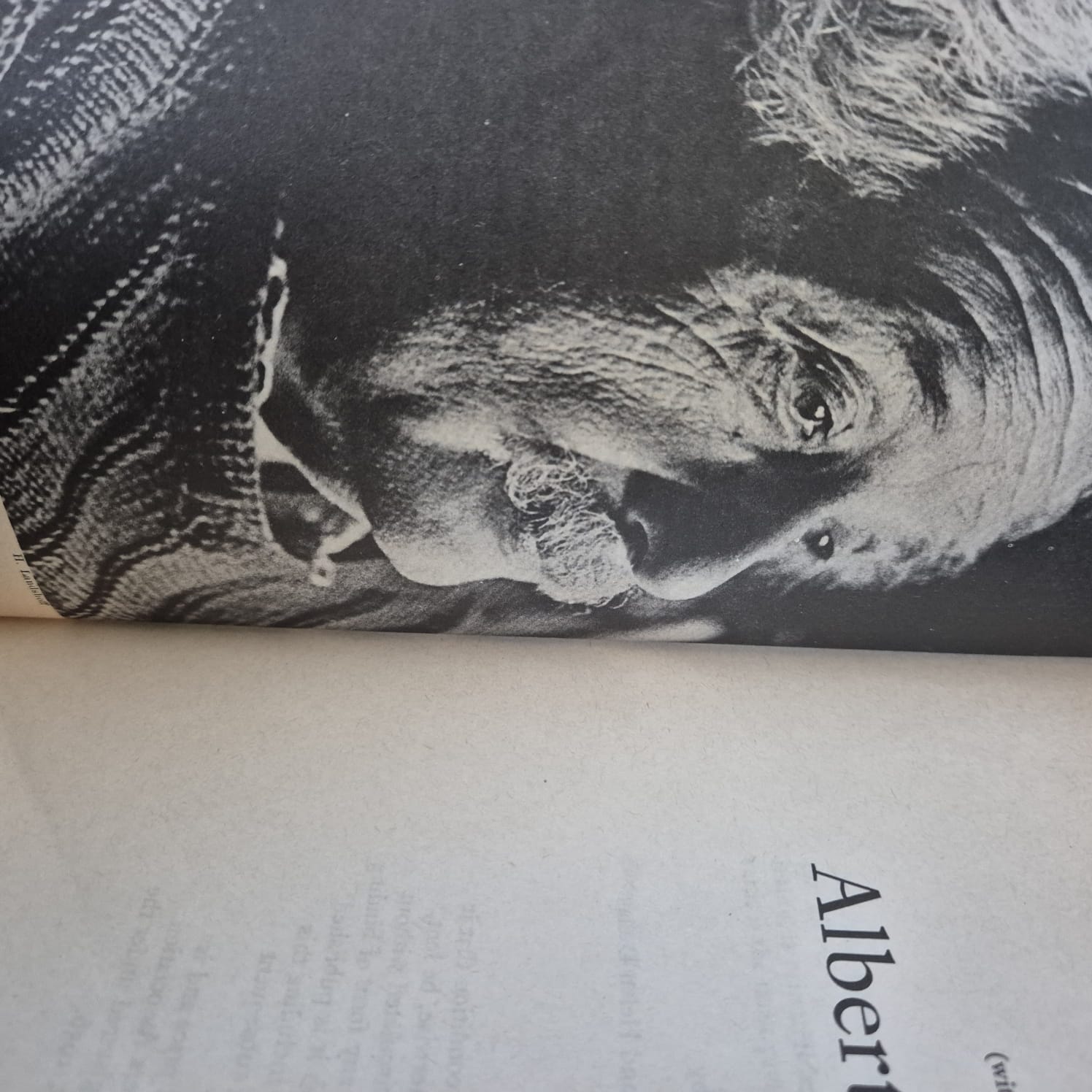 'Einstein' by Banesh Hoffmann (with Helen Dukas)
