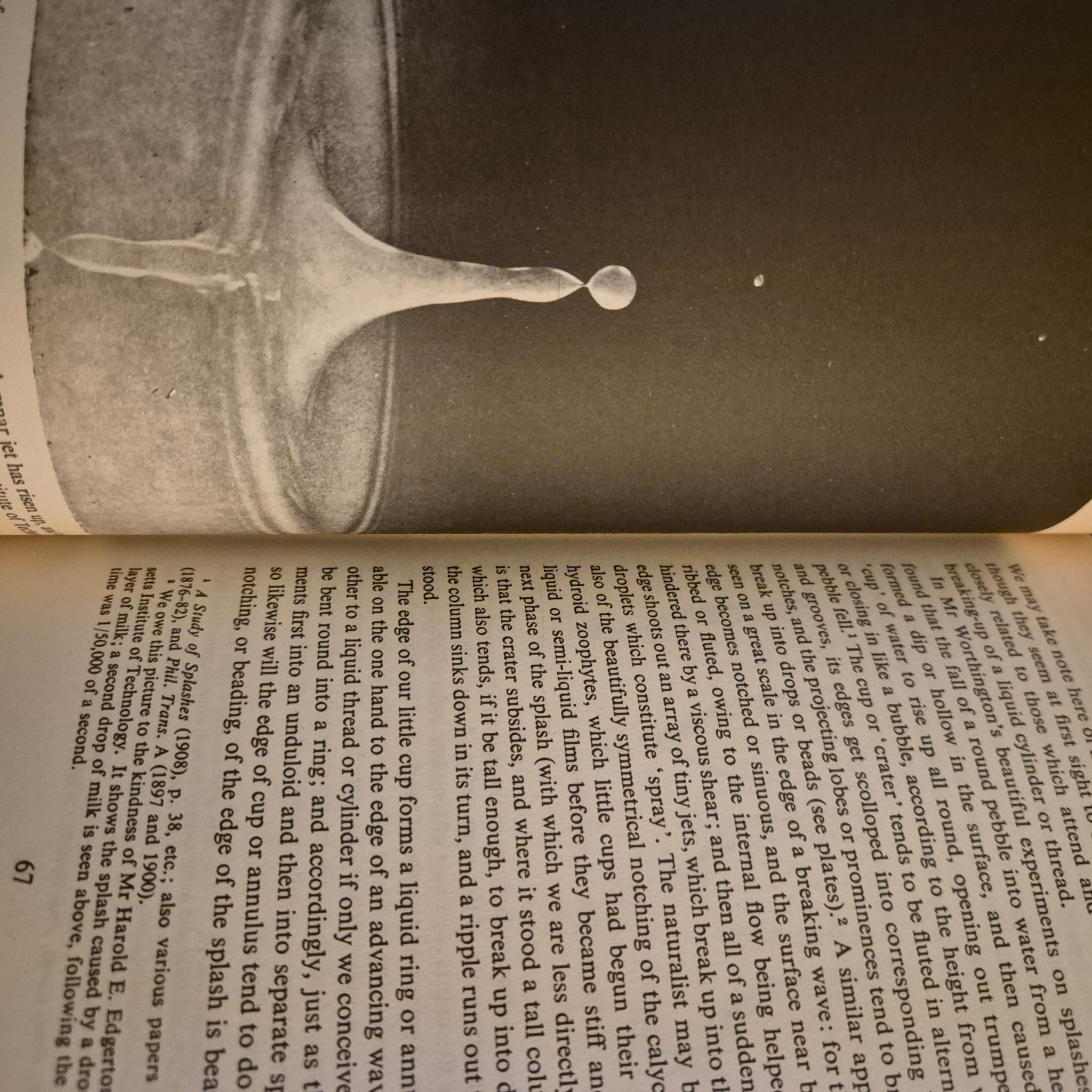 'On Growth and Form' by D'Arcy Wentworth Thompson