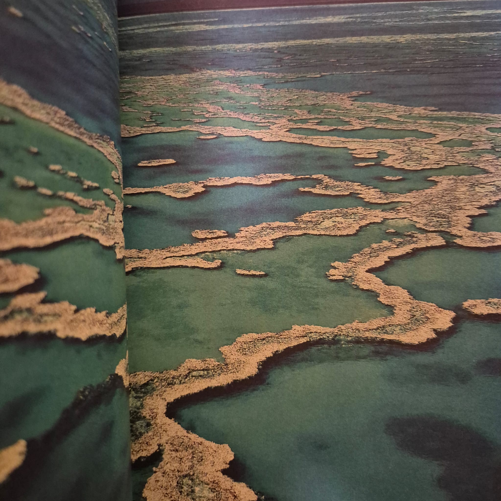 'The Climate Book' by Greta Thunberg