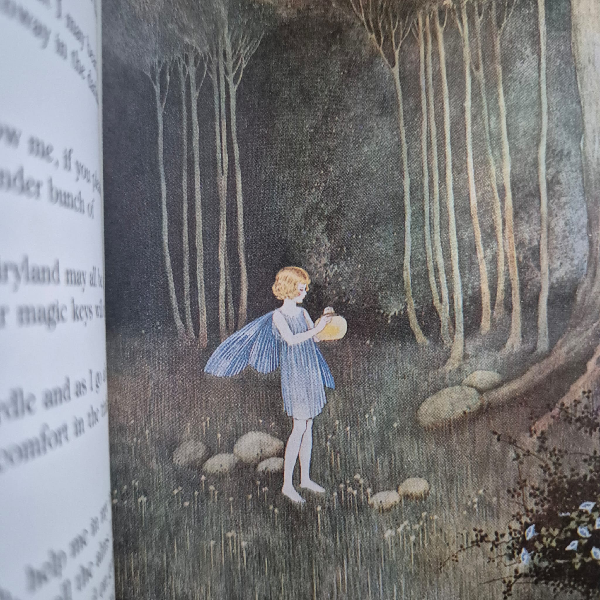 'The Little World of Elves & Fairies' by Ida Rentoul Outhwaite