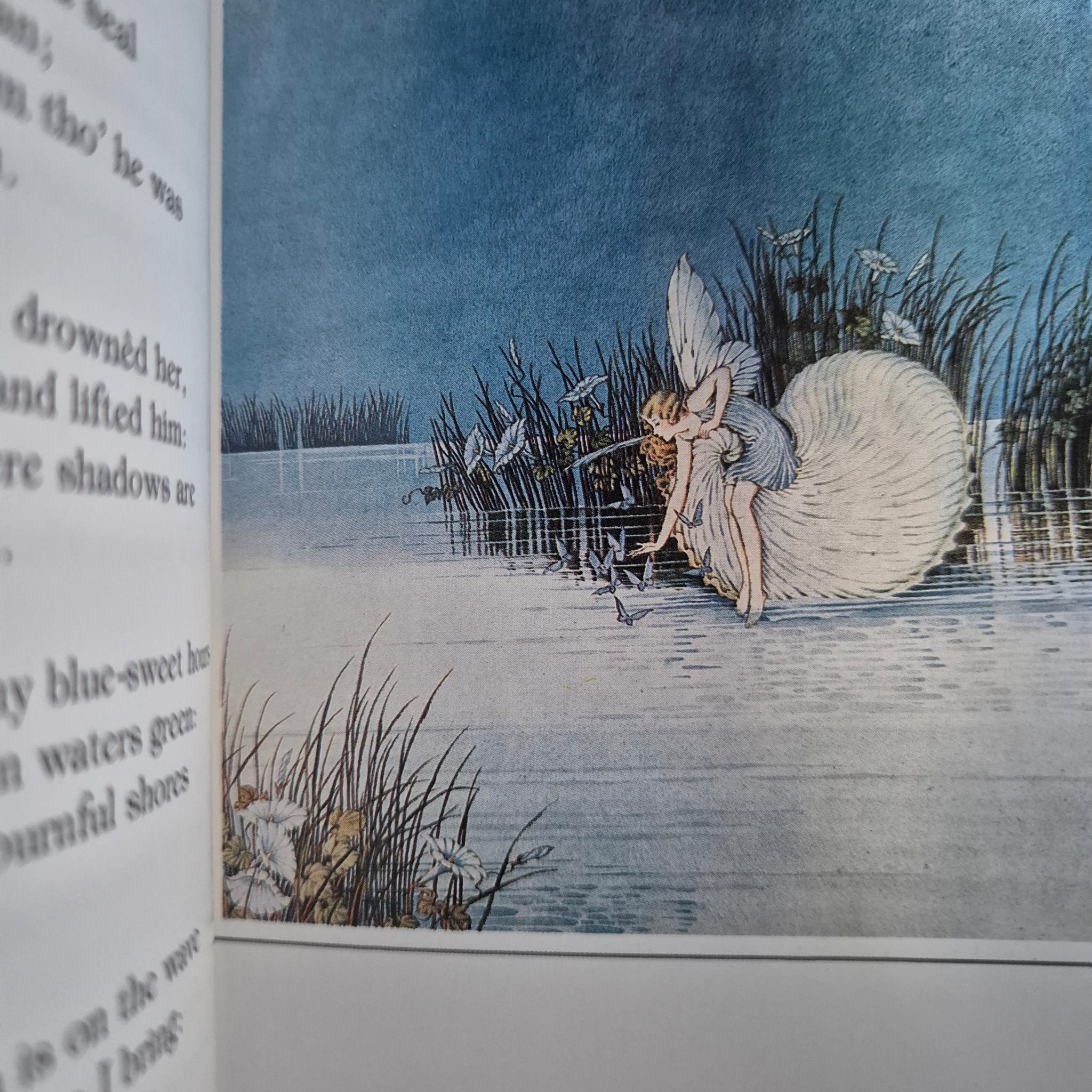 'The Little World of Elves & Fairies' by Ida Rentoul Outhwaite