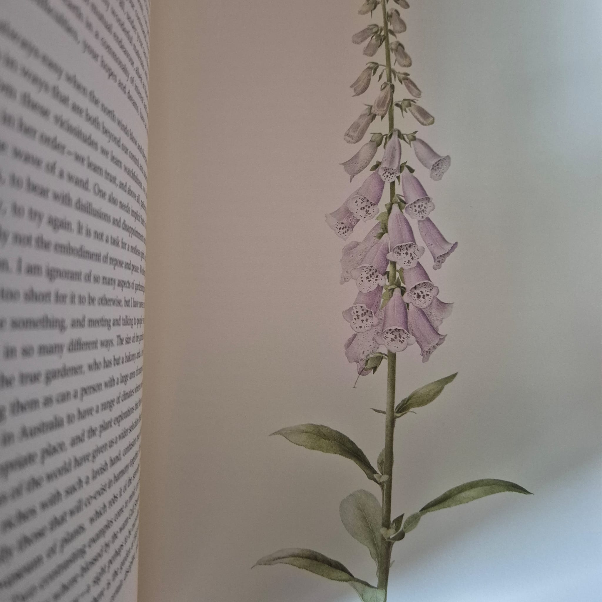 'The Uncommon Garden' by Joan Law-Smith