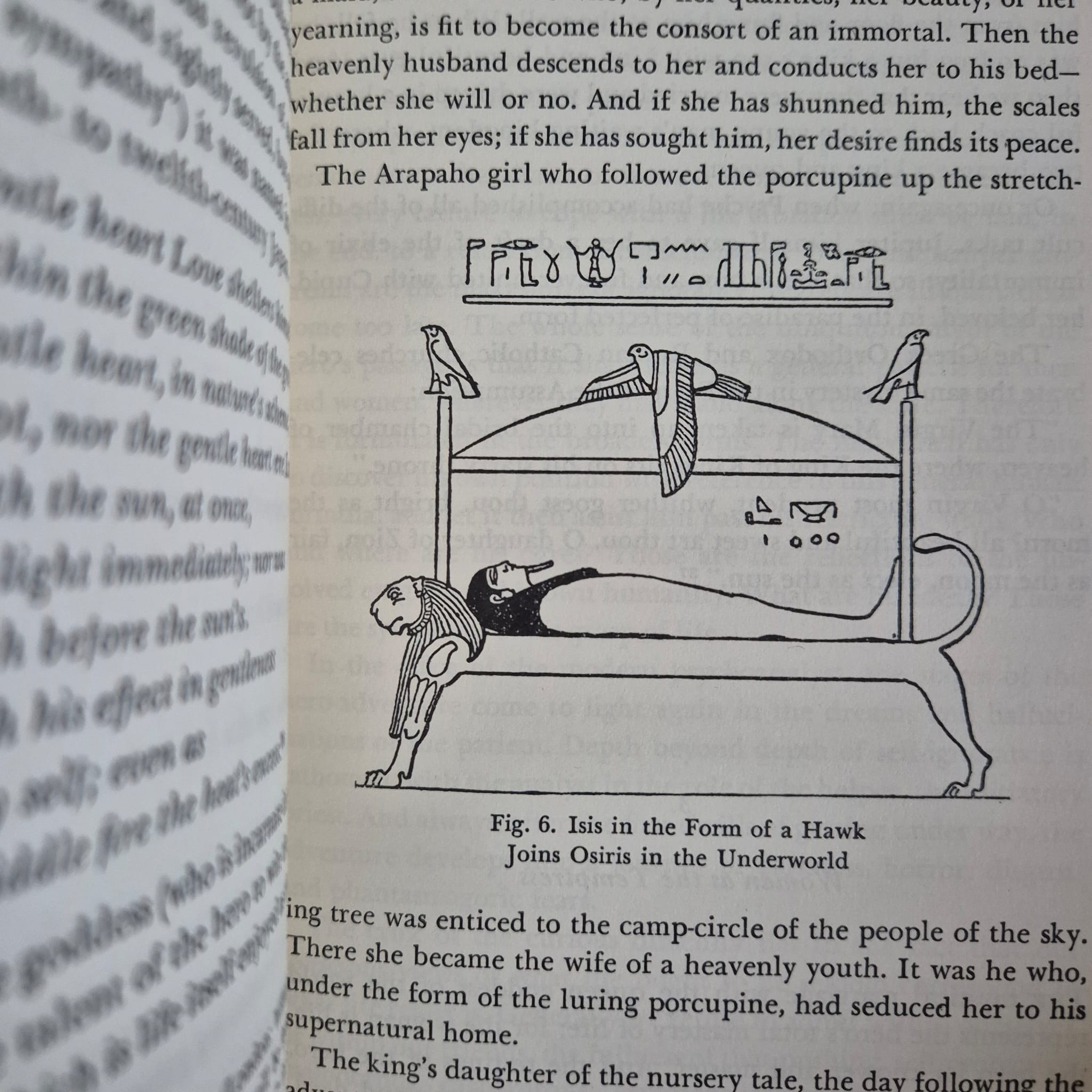 'The Hero With A Thousand Faces' by Joseph Campbell