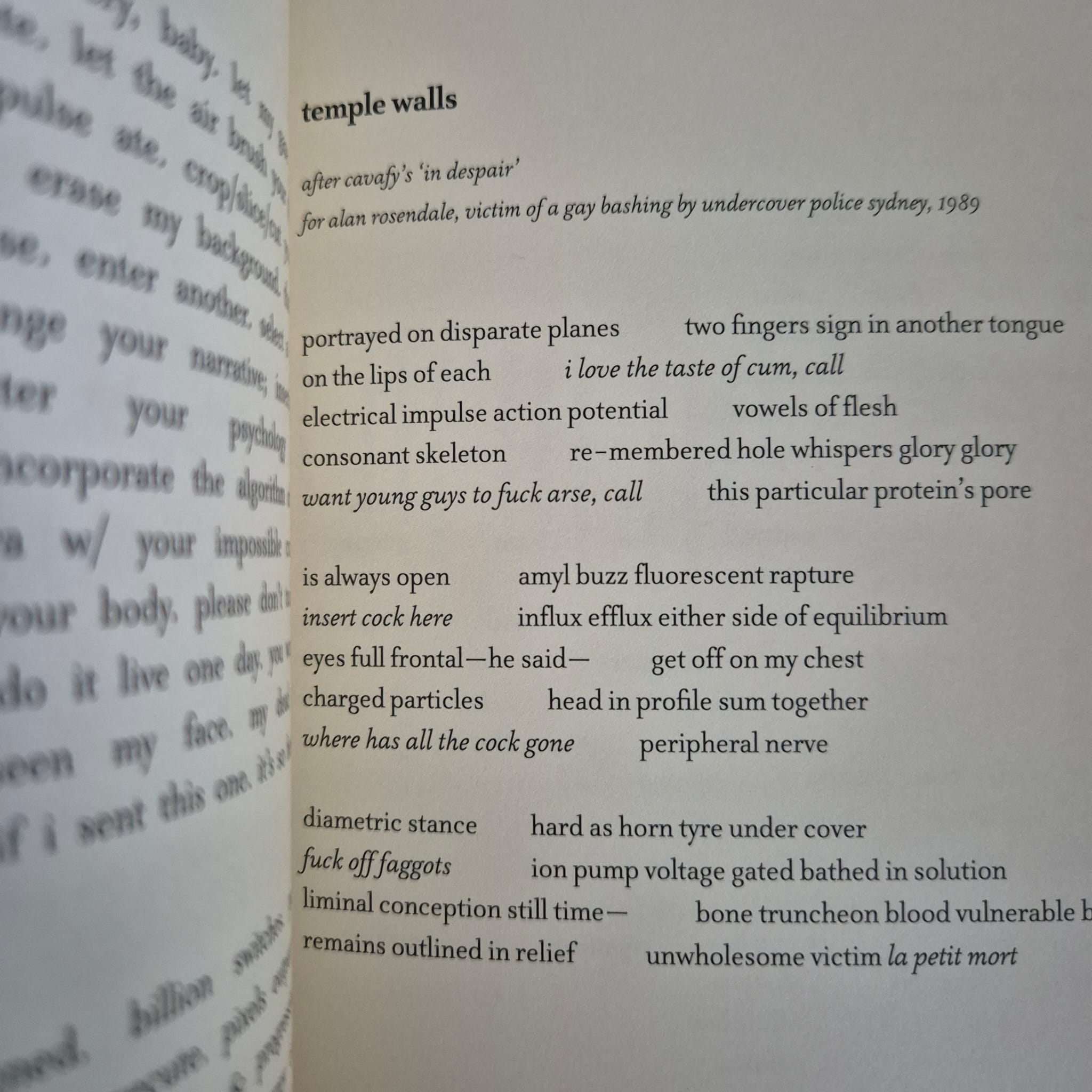'mad honey' by BC Oost