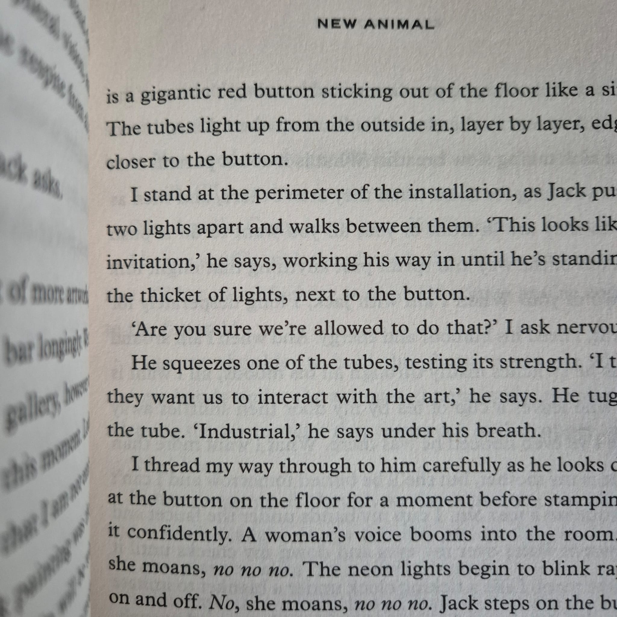 'New Animal' by Ella Baxter