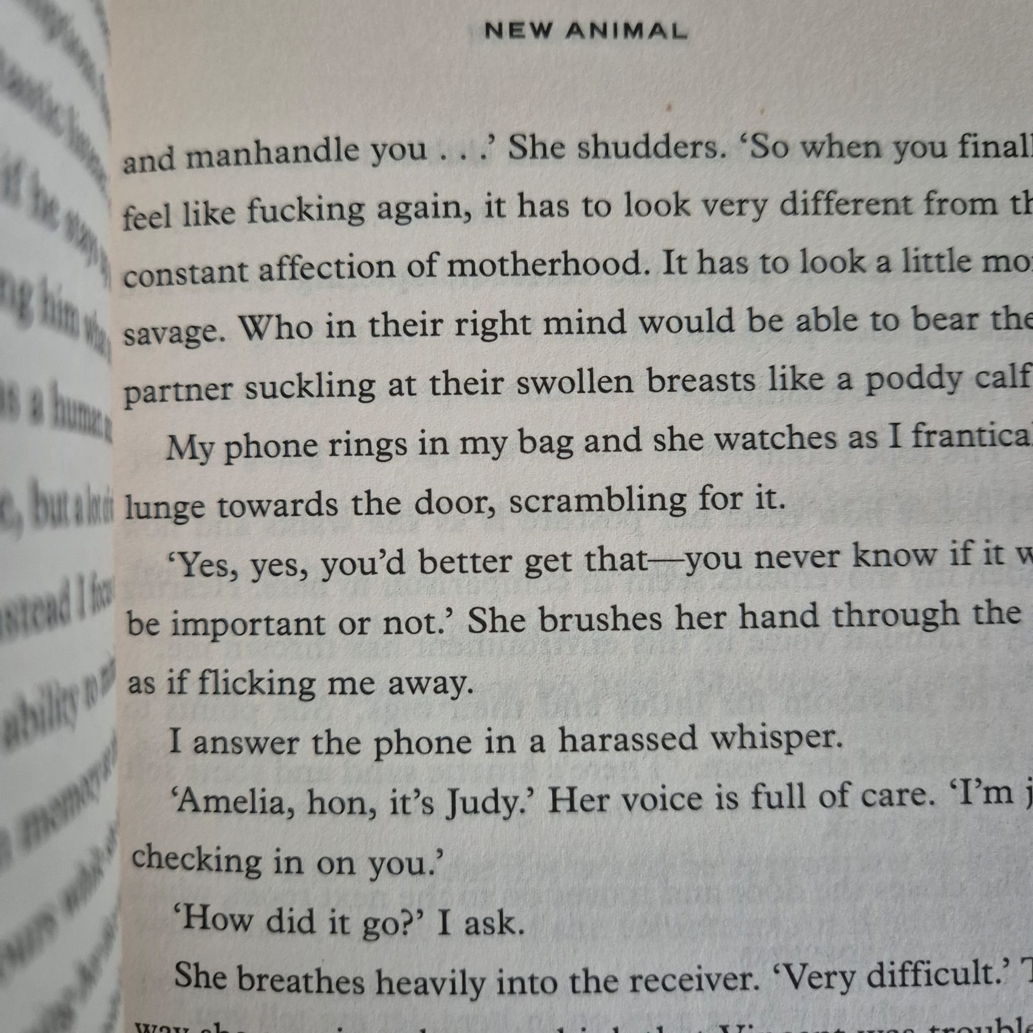 'New Animal' by Ella Baxter