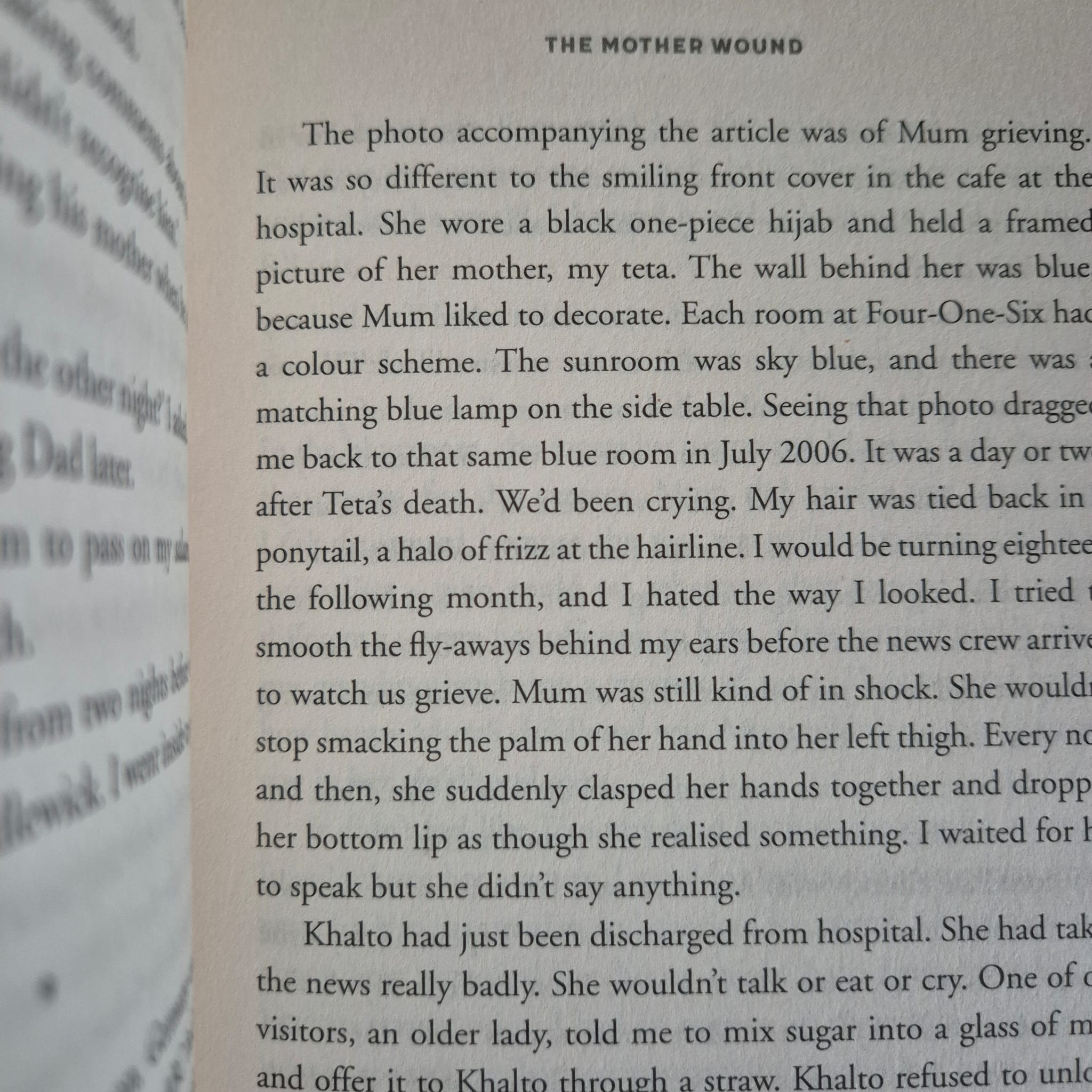'The Mother Wound' by Amani Haydar