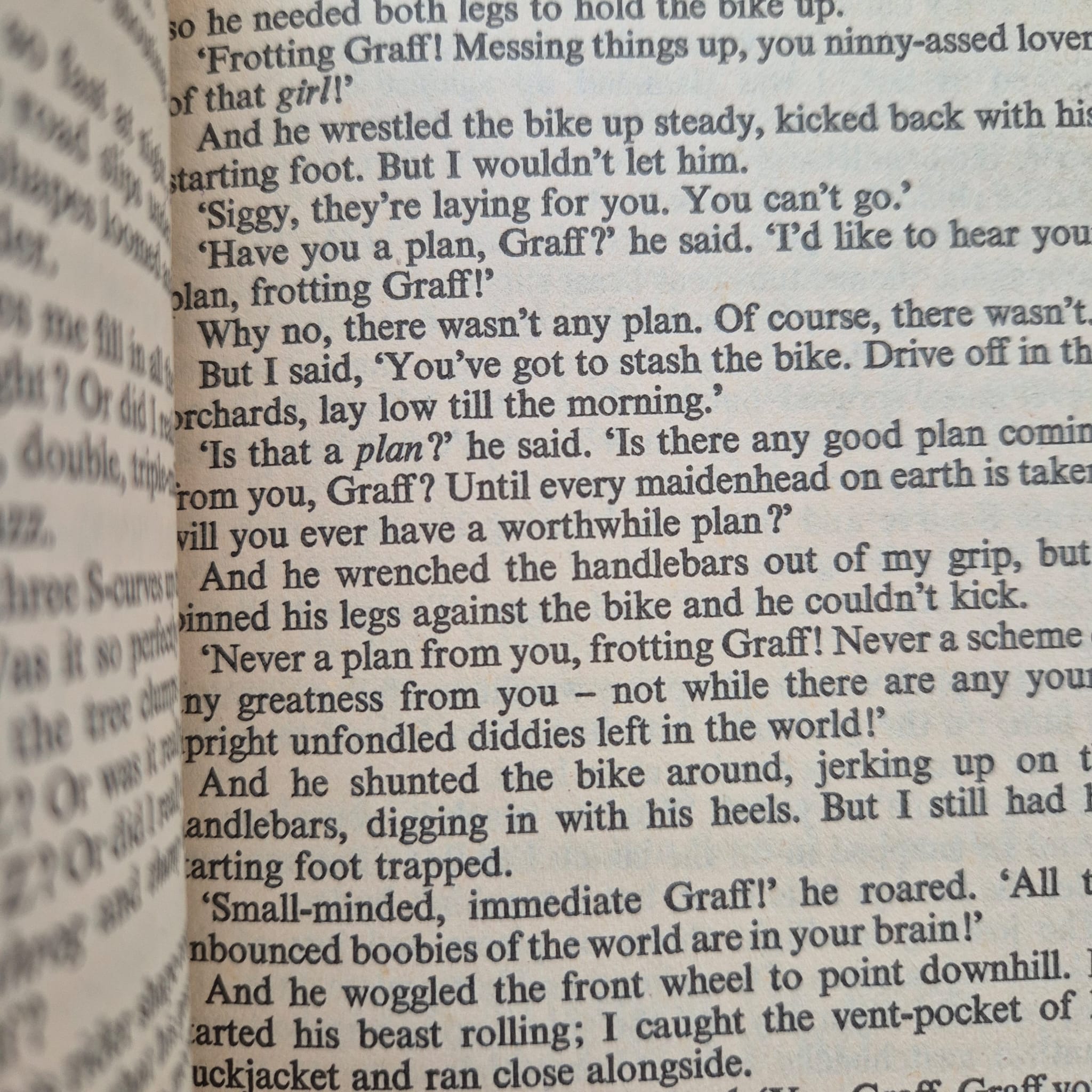 'Setting Free the Bears' by John Irving