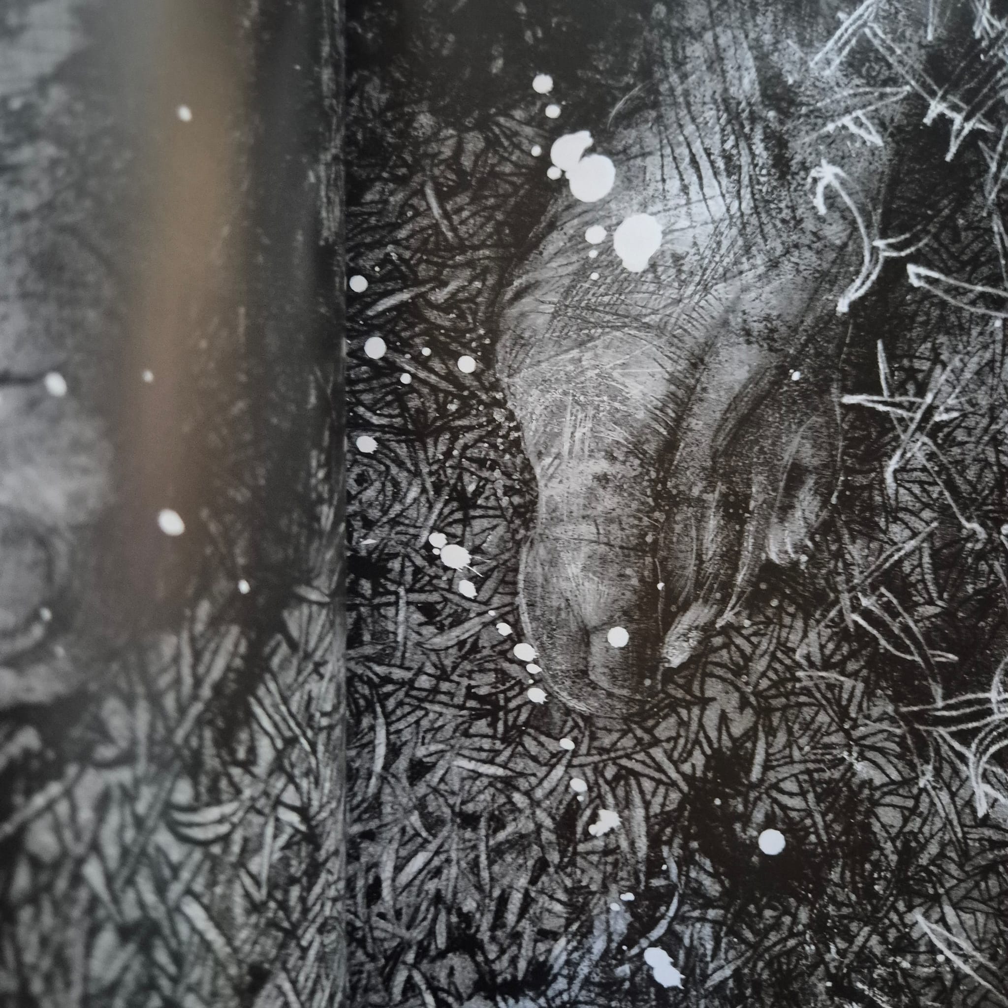 'A Monster Calls' by Patrick Ness