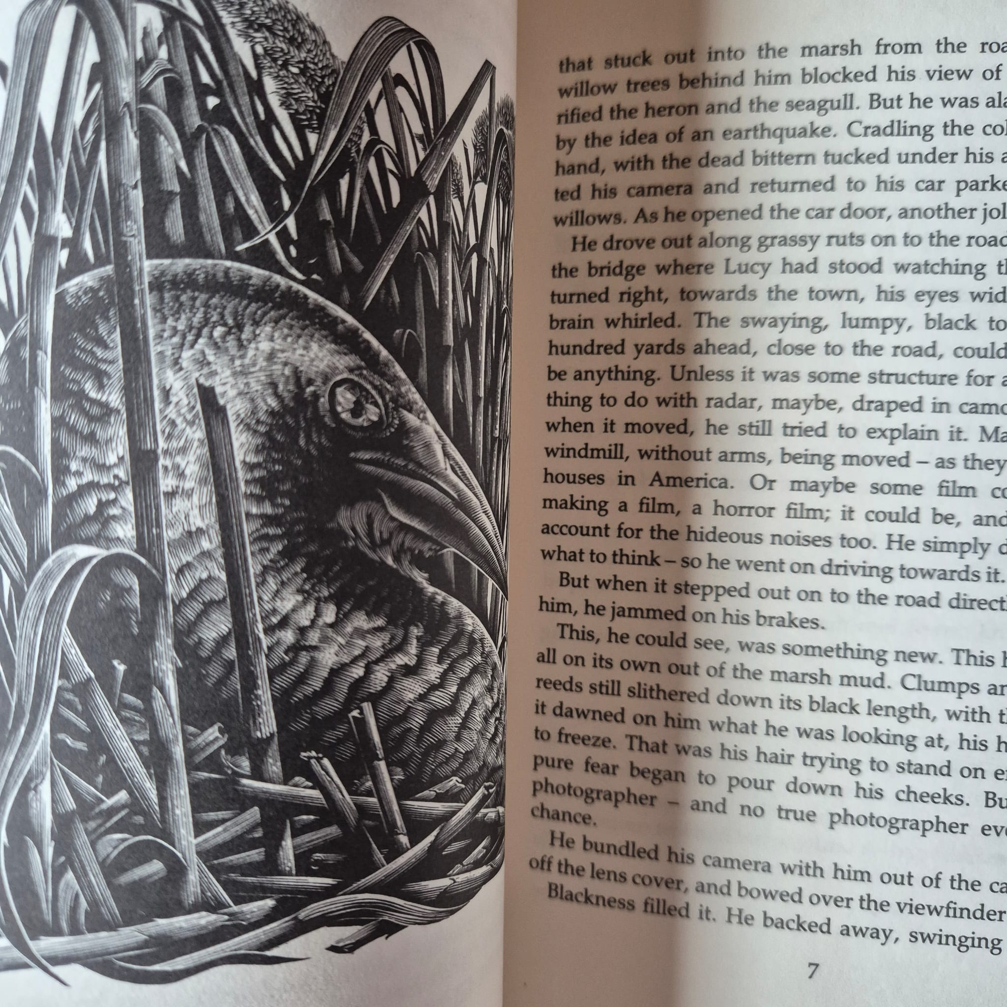 'The Iron Woman' by Ted Hughes