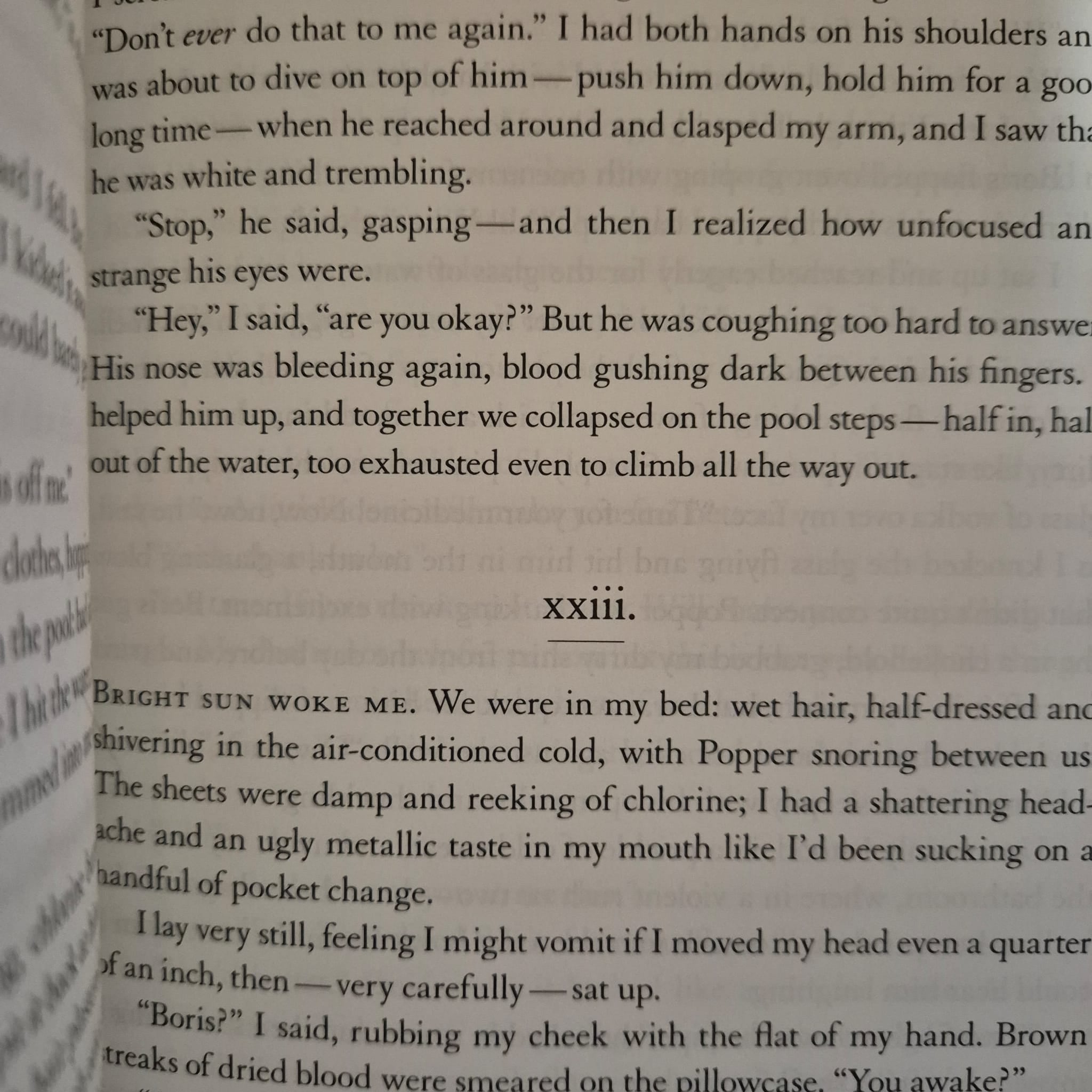 'The Goldfinch' by Donna Tartt