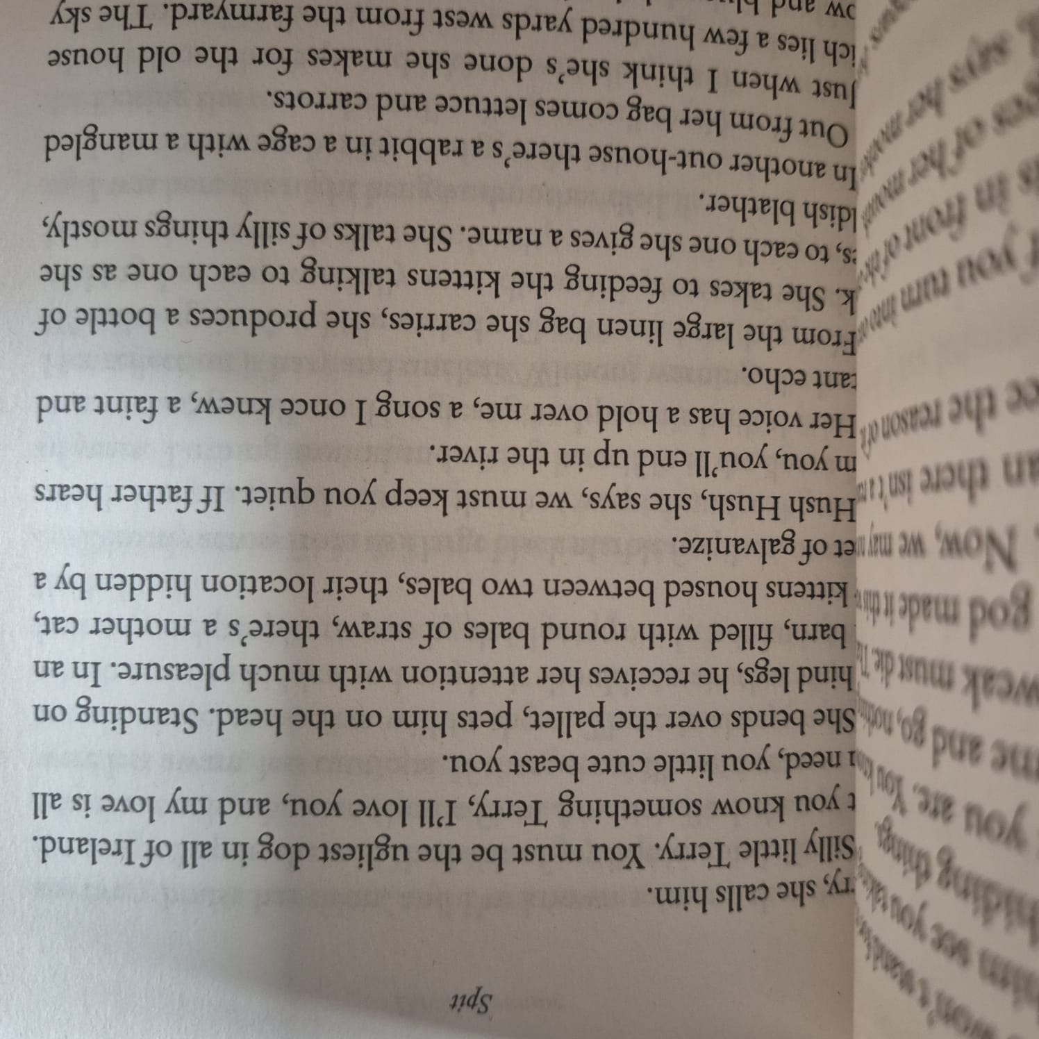 'Spit' by David Brennan