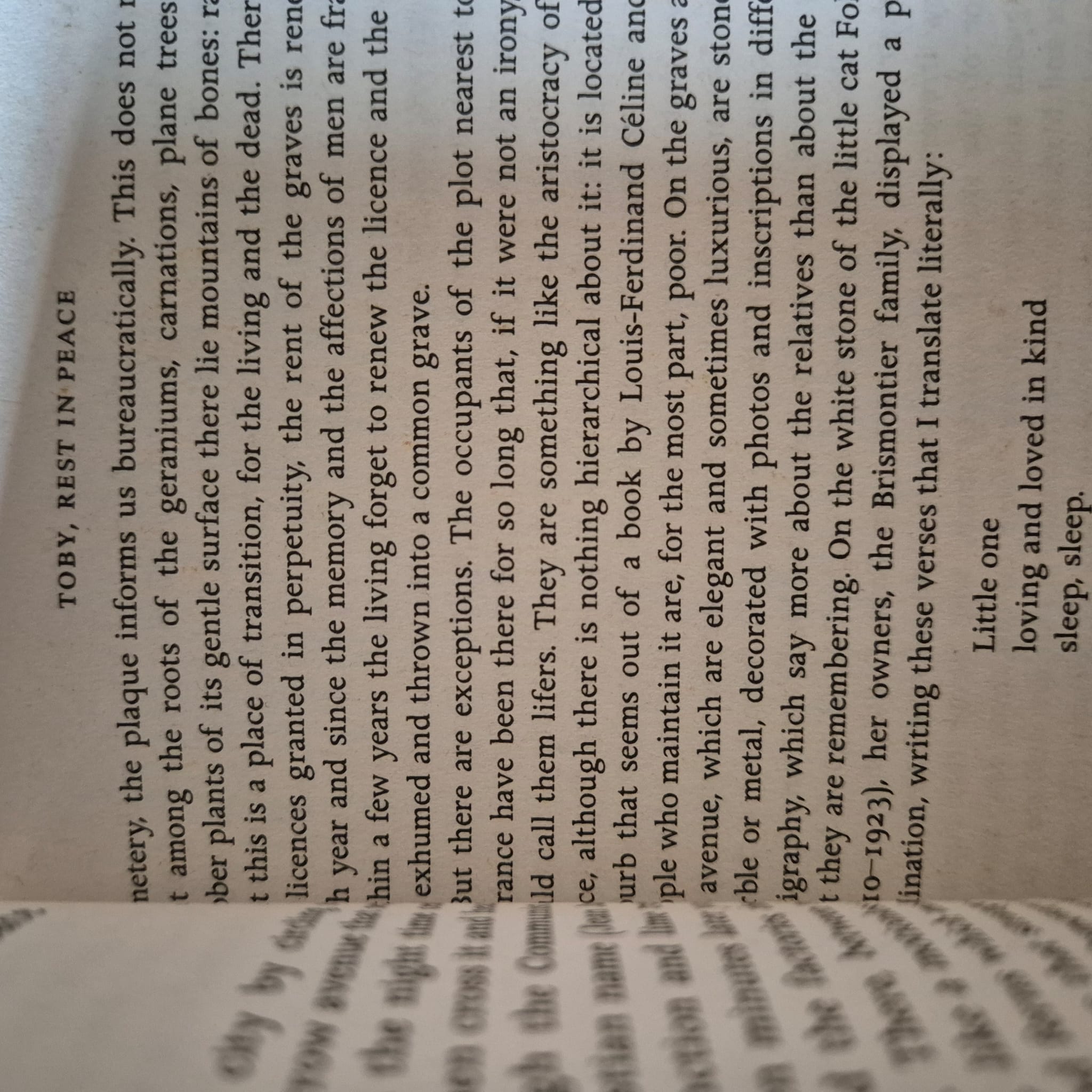 'Making Waves: Essays' by Mario Vargas Llosa